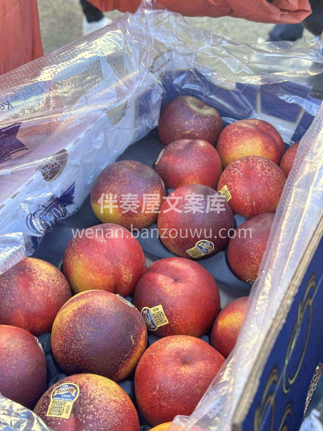 超大的果子🍑，鲜嫩多汁🌊 每咬一口，都再 配图2