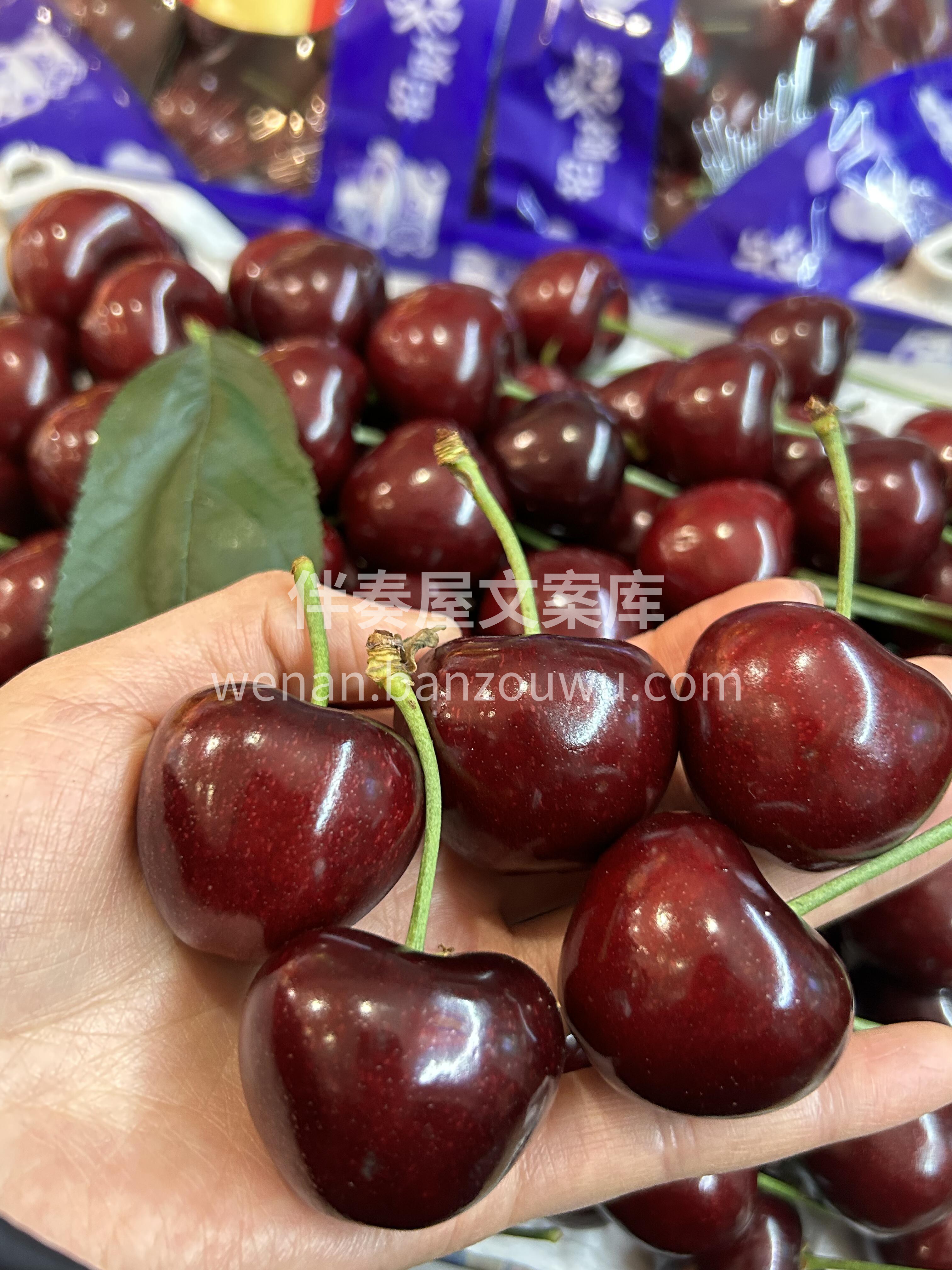 一颗沾着清晨露水的樱桃🍒 一口咬下去，酸 配图1