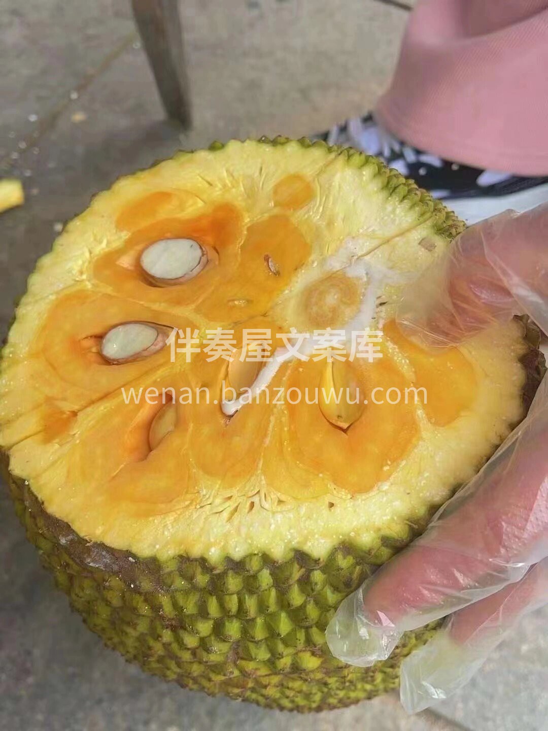 红肉菠萝蜜||〖泰国🇹🇭菠萝蜜〗 🌿苞大 配图2