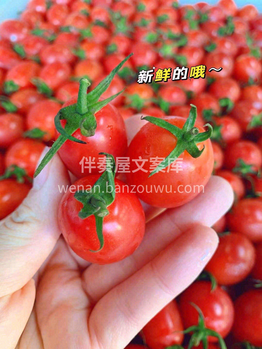 ❣千禧果，抛开淑女装 一口爆甜一个❤️  配图2