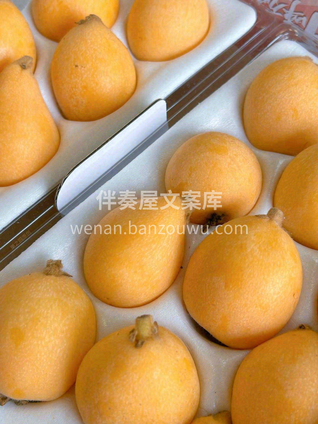 “润肺缓咳”的营养果🎖 吃上一颗枇杷😋， 配图2