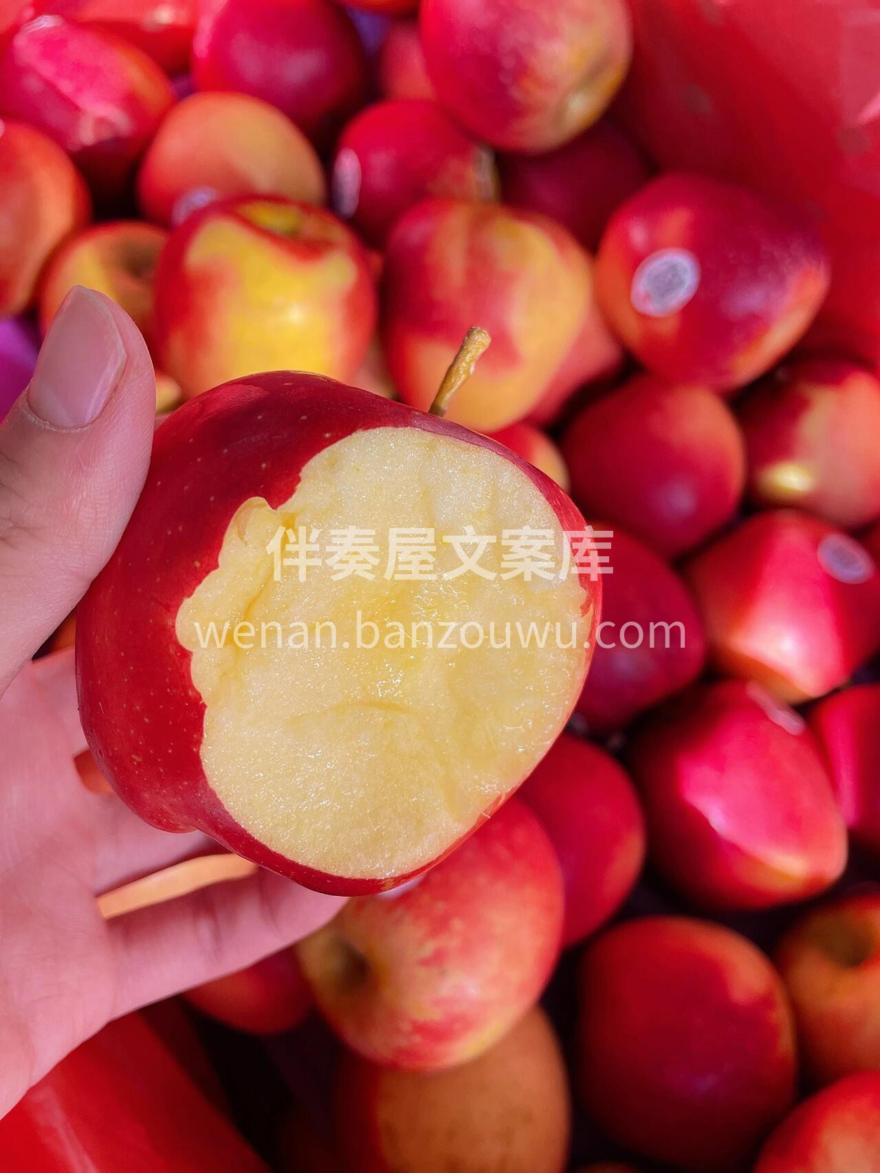 甜在心坎里的红玫瑰苹果🍎！ 360°无死 配图3