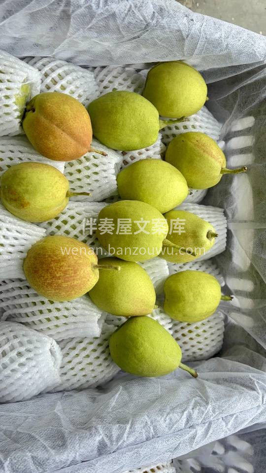 正宗库尔勒香梨🍐🆕 脆嫩多汁😍核小肉嫩， 配图3
