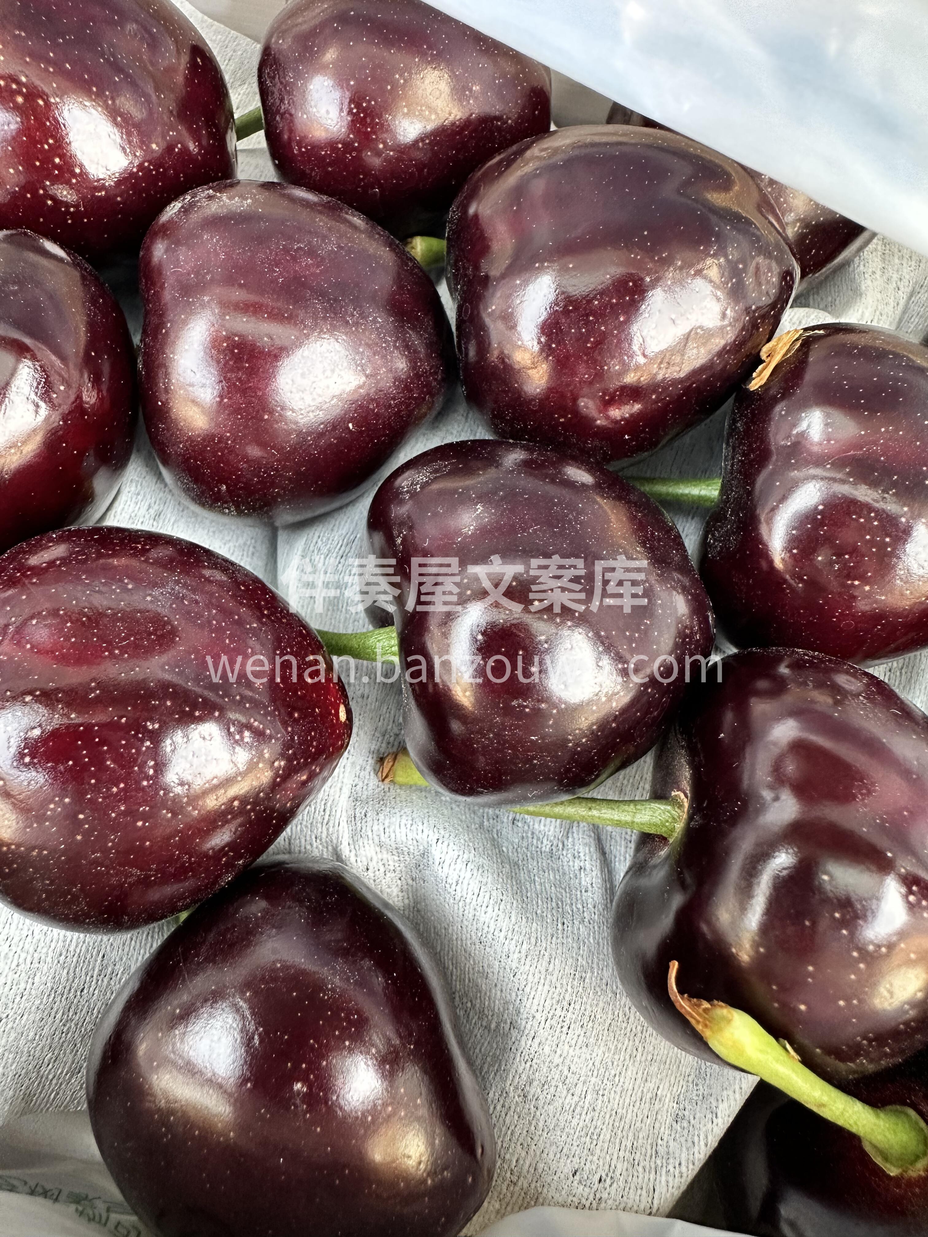 🍒俄八樱桃甜蜜上线！ 颗粒饱满Q弹，一口 配图1