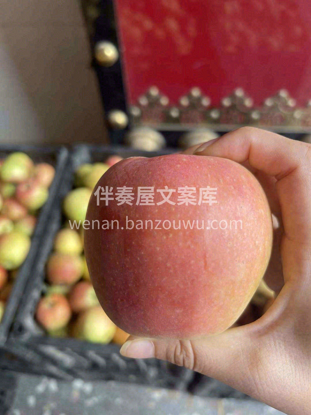 💁越是身处都市，越是渴望田野的广阔😊 这 配图2