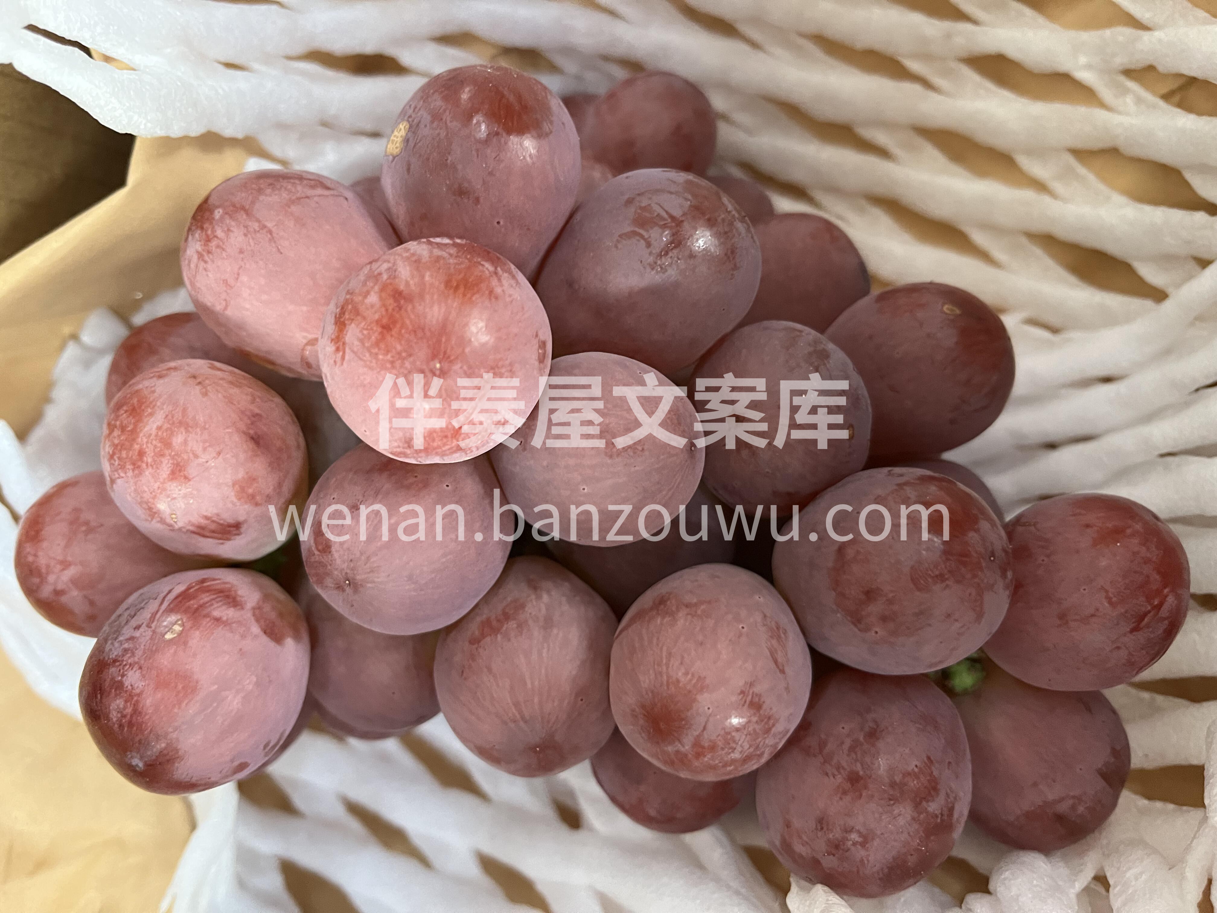 云南高原红提自然成熟🍇 色泽艳丽，颗粒饱 配图2