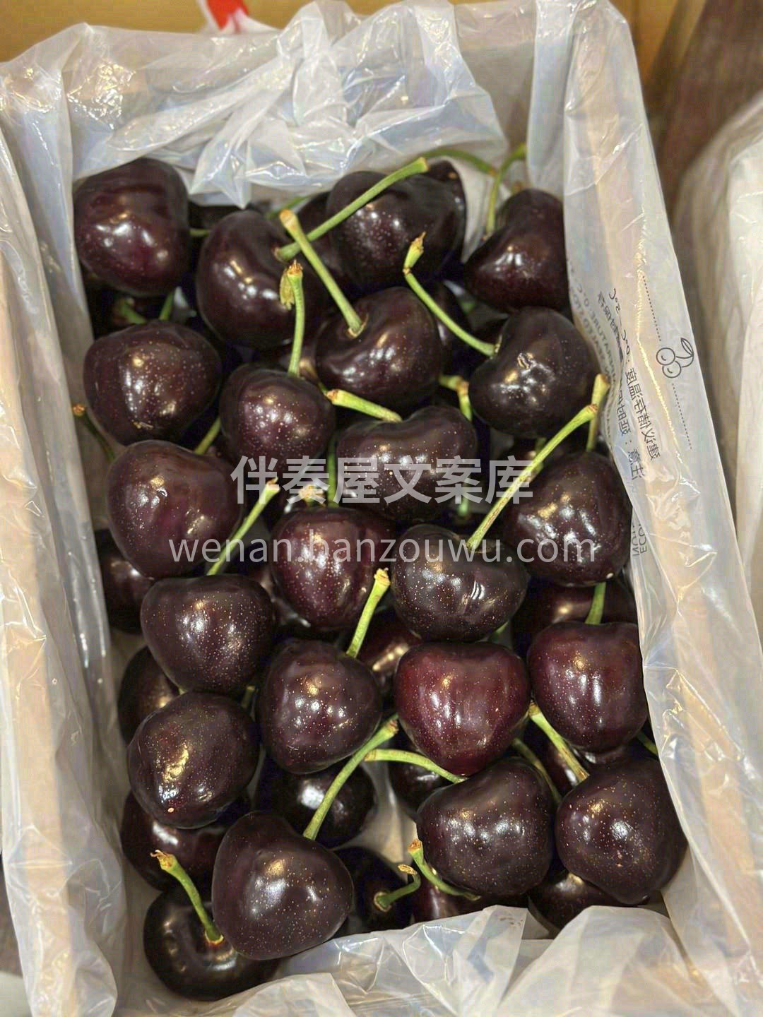🍒入夏第一个小仙物 🦋吸足了春夏的阳光🔆 配图3