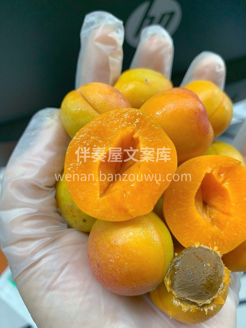 不要与她擦肩而过哦！ 厚实的果肉有高达2 配图3