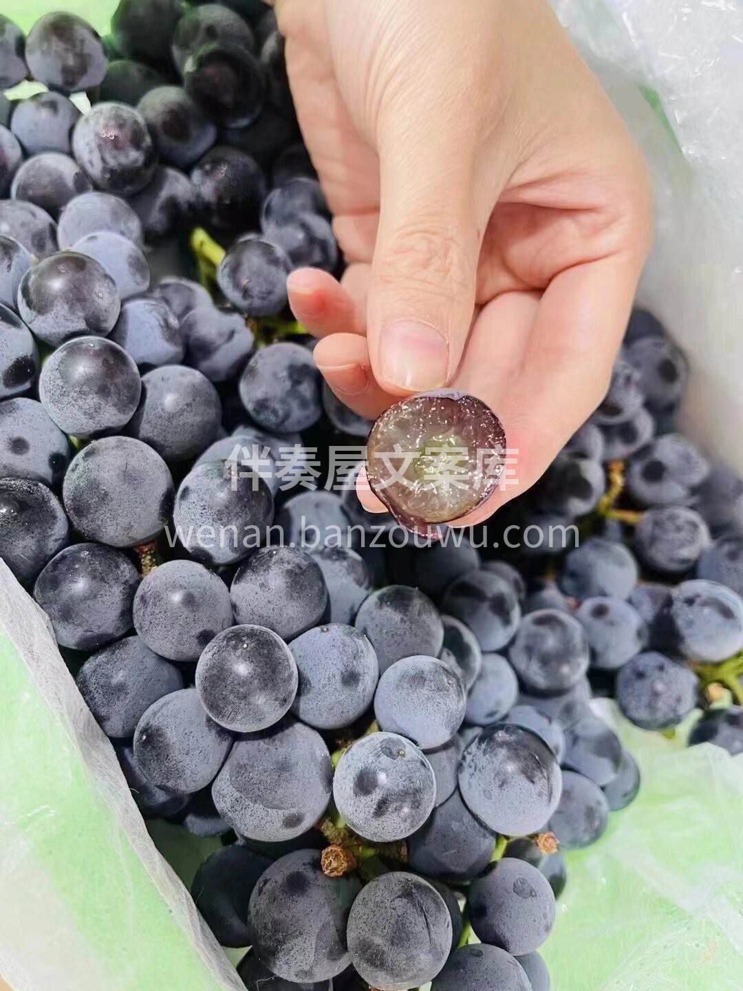 蓝莓葡萄🍇 🍇🍇🍇超好吃的蓝莓葡萄来啦！ 配图1
