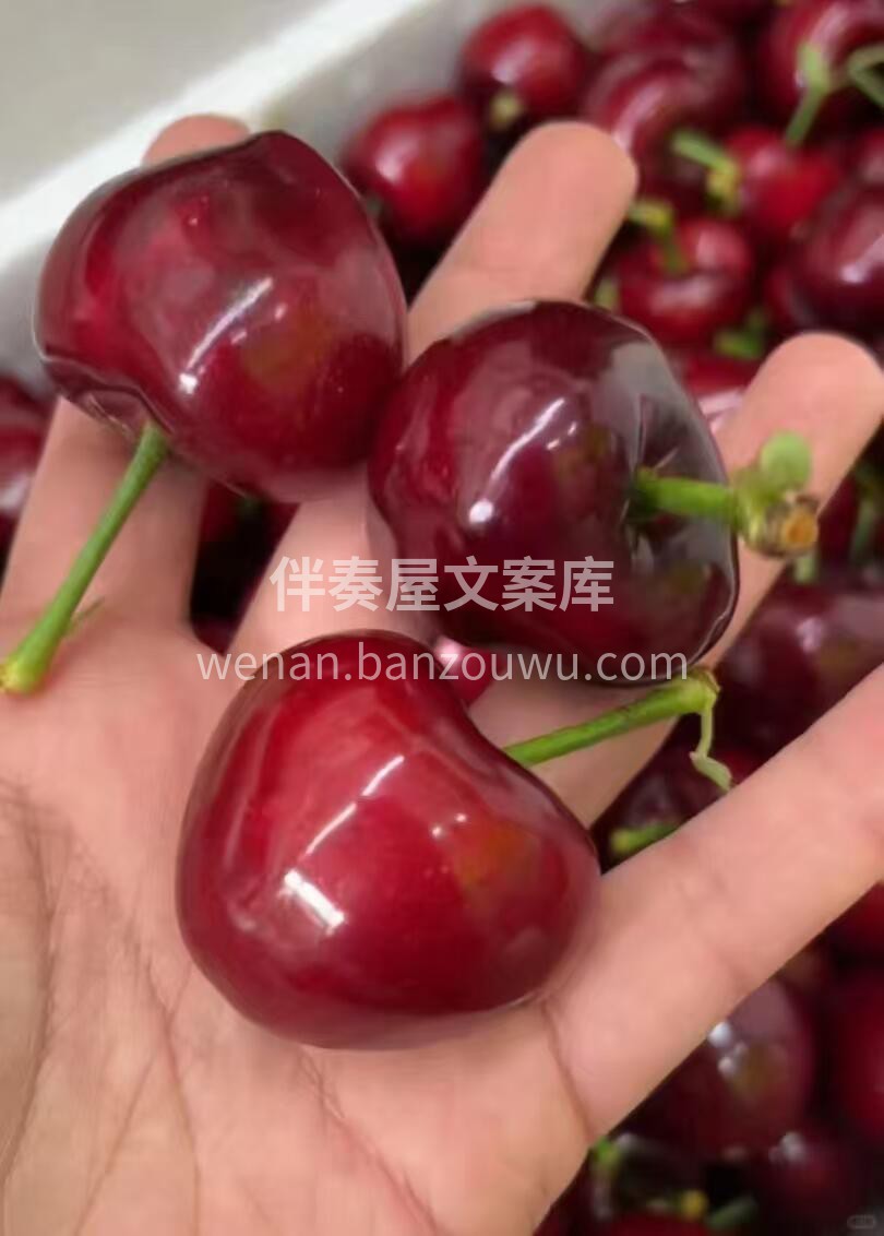 这个樱桃谁懂啊！！！🍒有的路，你必须自己 配图1