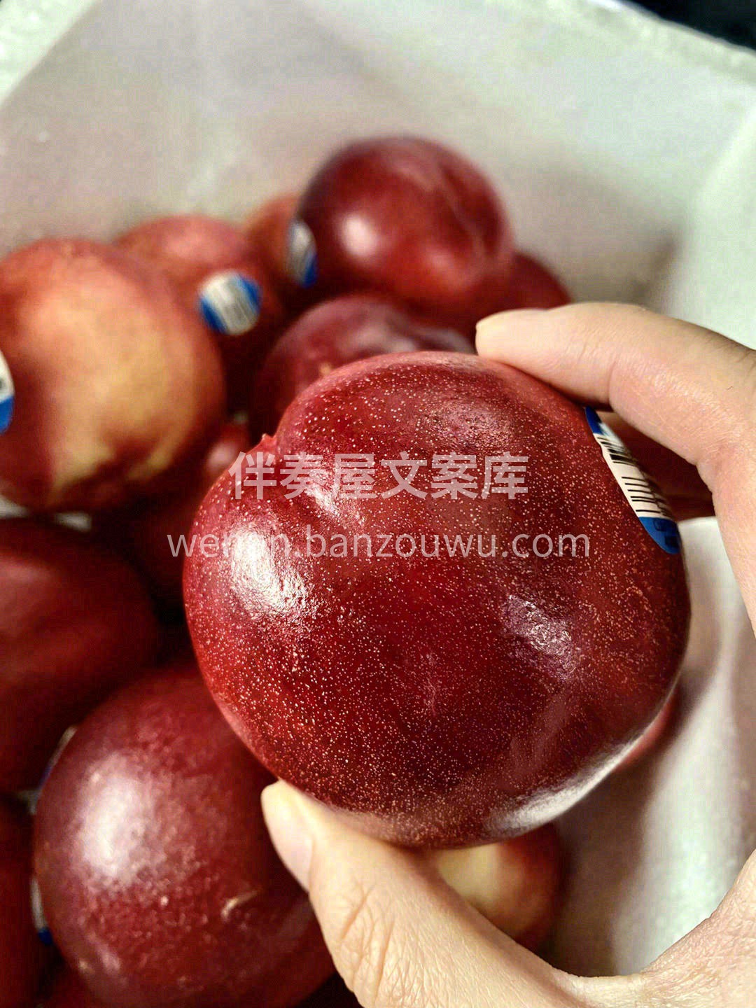 生活中的小确幸🦋 咱家甜过初恋的澳洲油桃