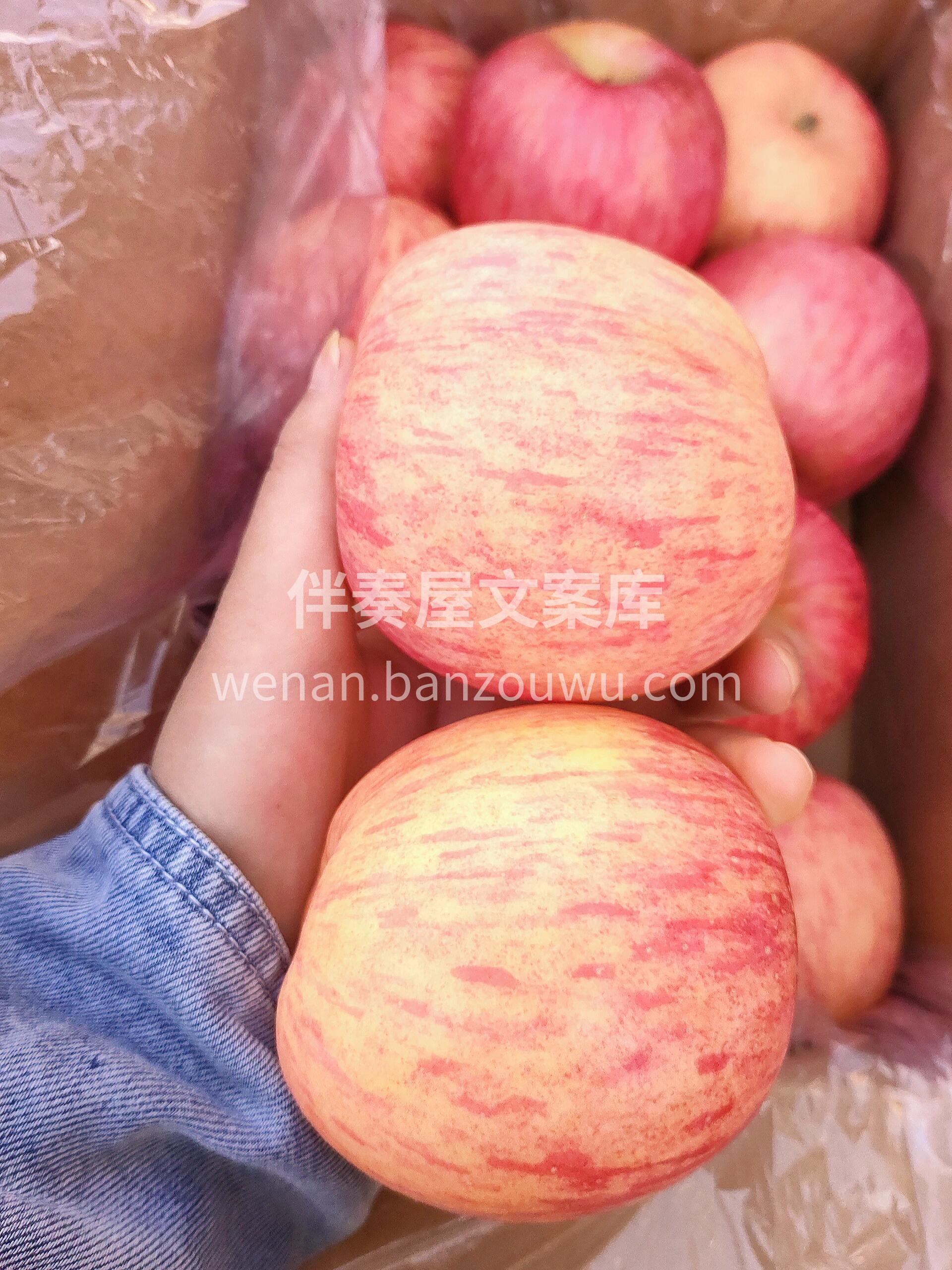 洛川富士苹果🍎 最吸引人的是果香😍😍 捧 配图1