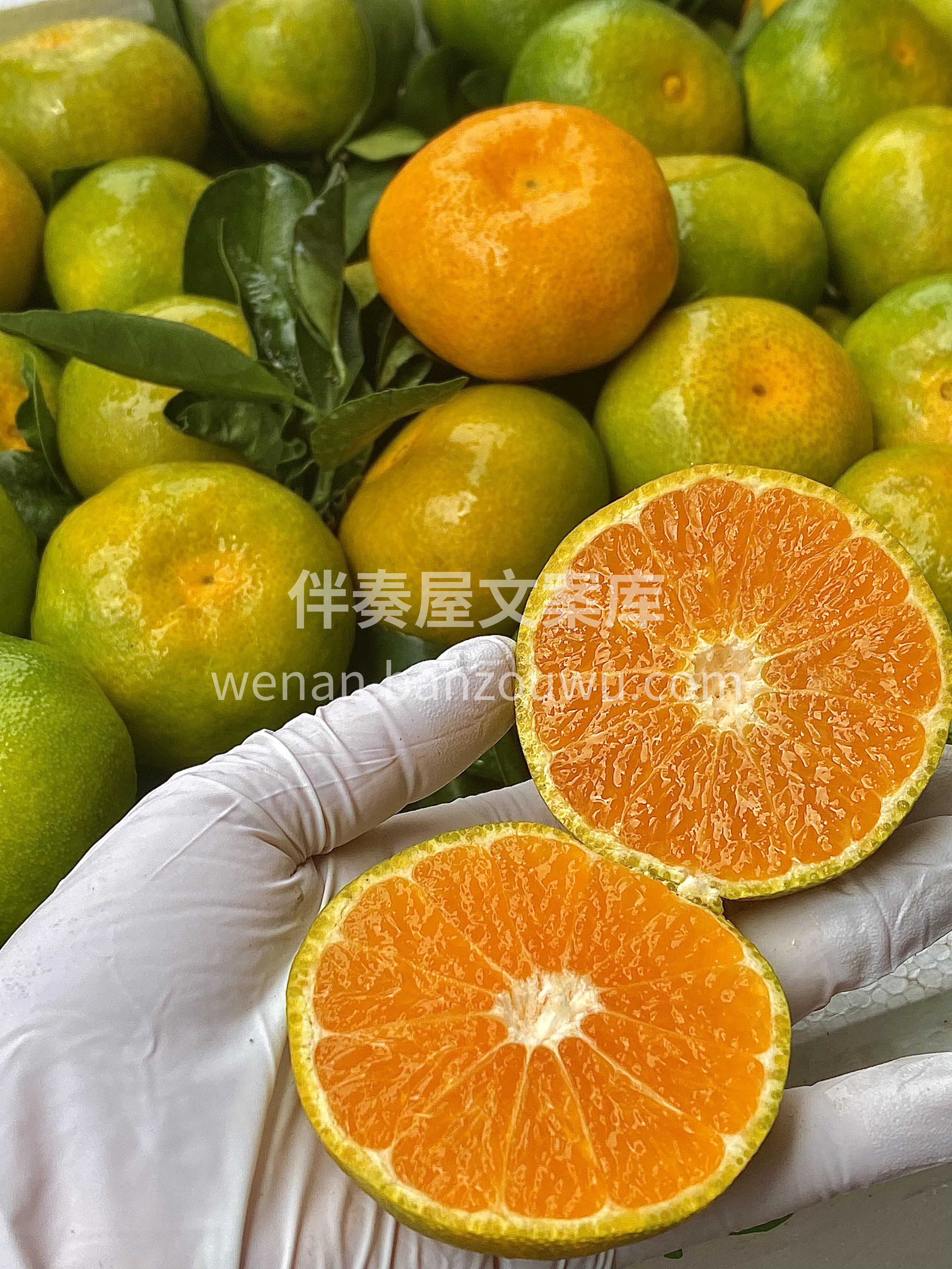 今日份----新鲜蜜橘🍊 太惊喜了😎，皮 配图2