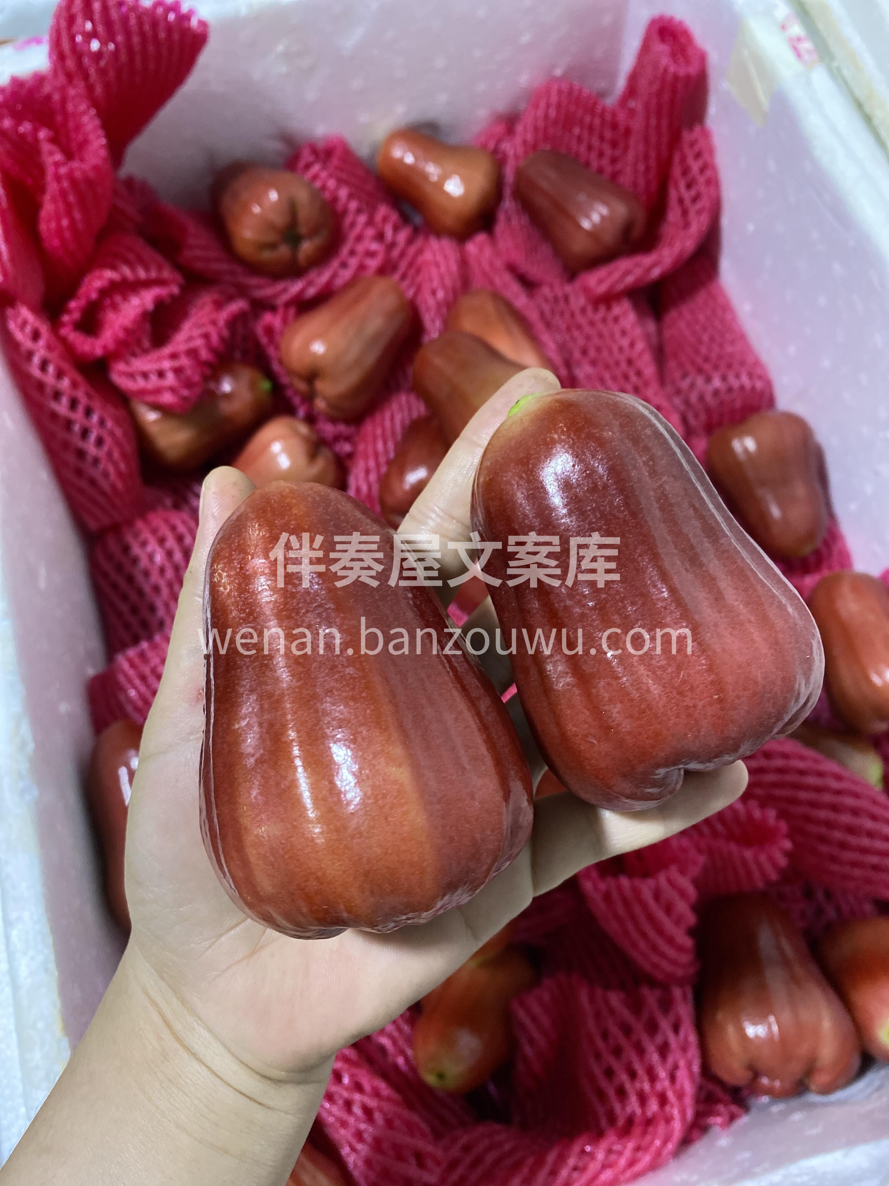 黑金刚莲雾 完全不够吃的节奏～ 清甜，爽 配图3
