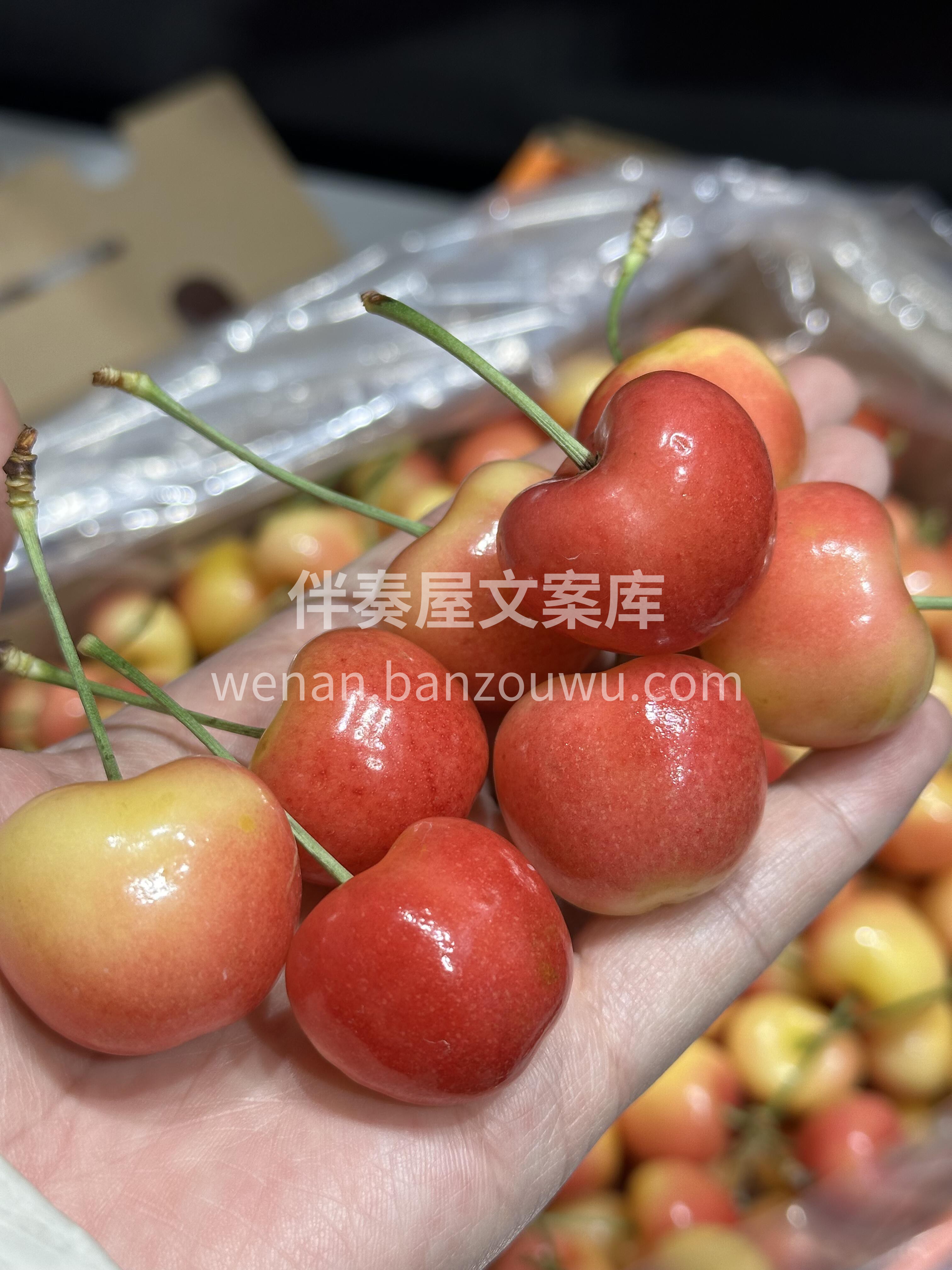 🍒雷尼儿樱桃！🍒 黄底红晕像小太阳，果肉 配图1