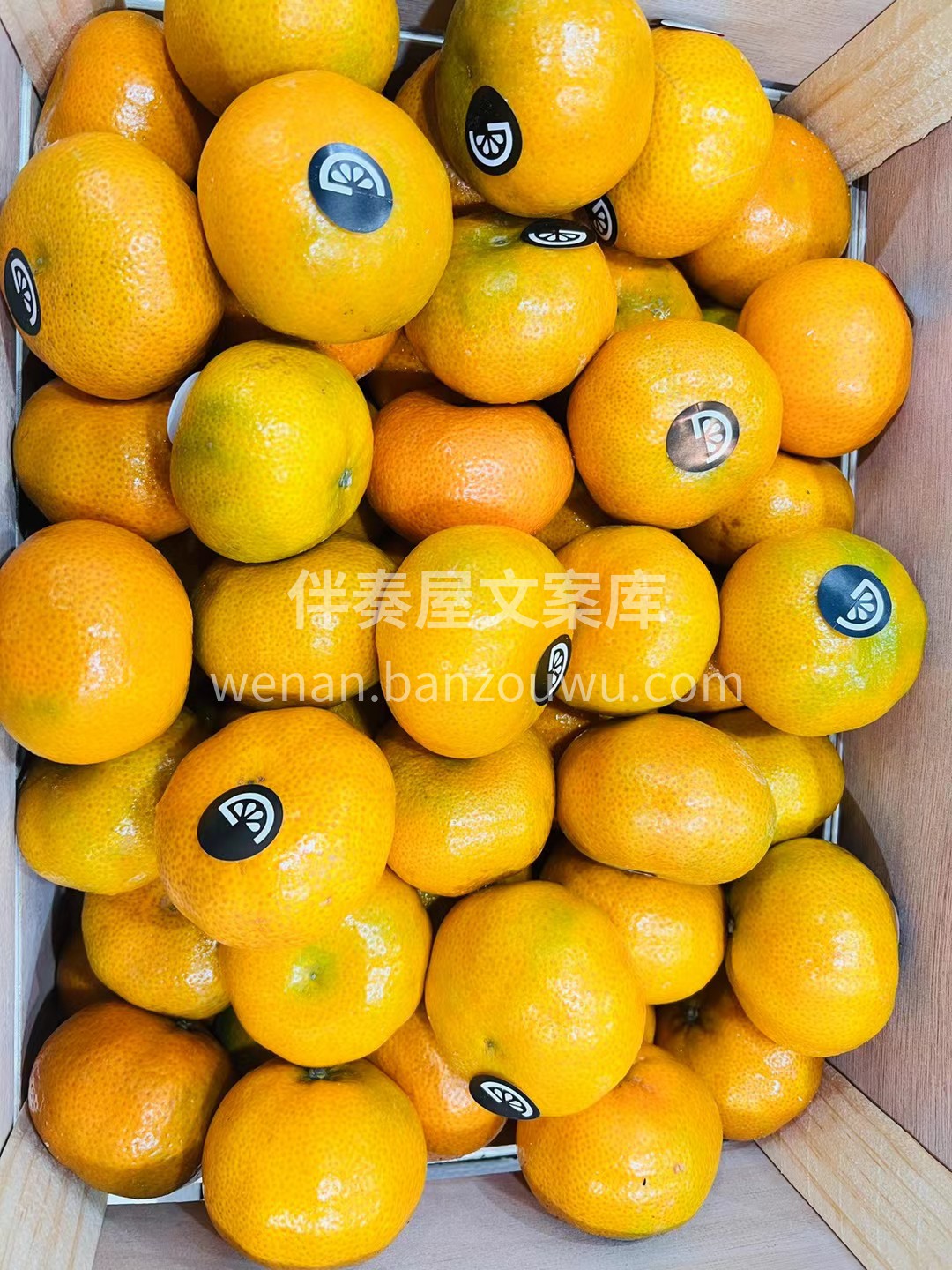 新品推荐❤️ 【秘鲁橘🍊】甜蜜来袭💥💥💥 配图2