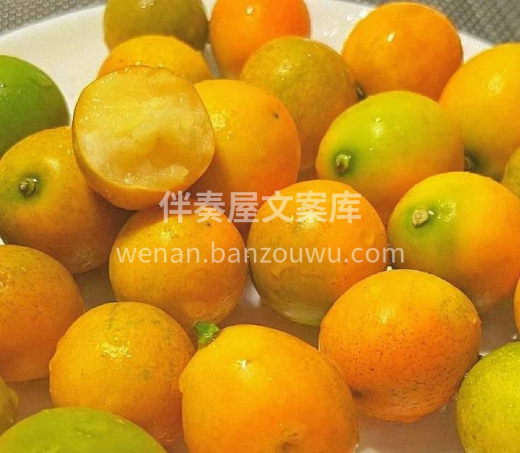 融安滑皮金桔🍊天然洗肺机 每一颗是自然成 配图3