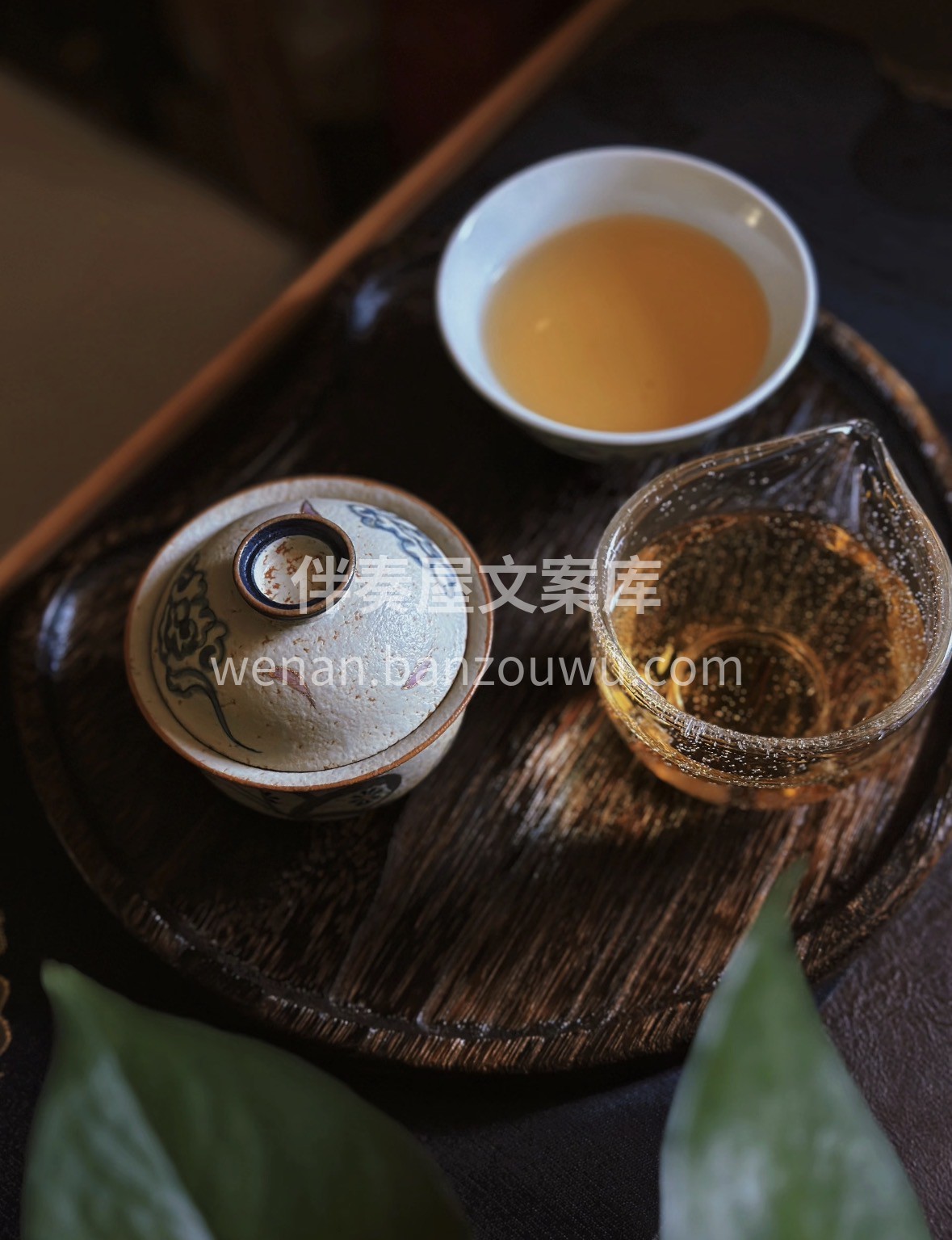 新春年货选黄芽，礼赠佳选藏心意🍵 芽头嫩 配图2