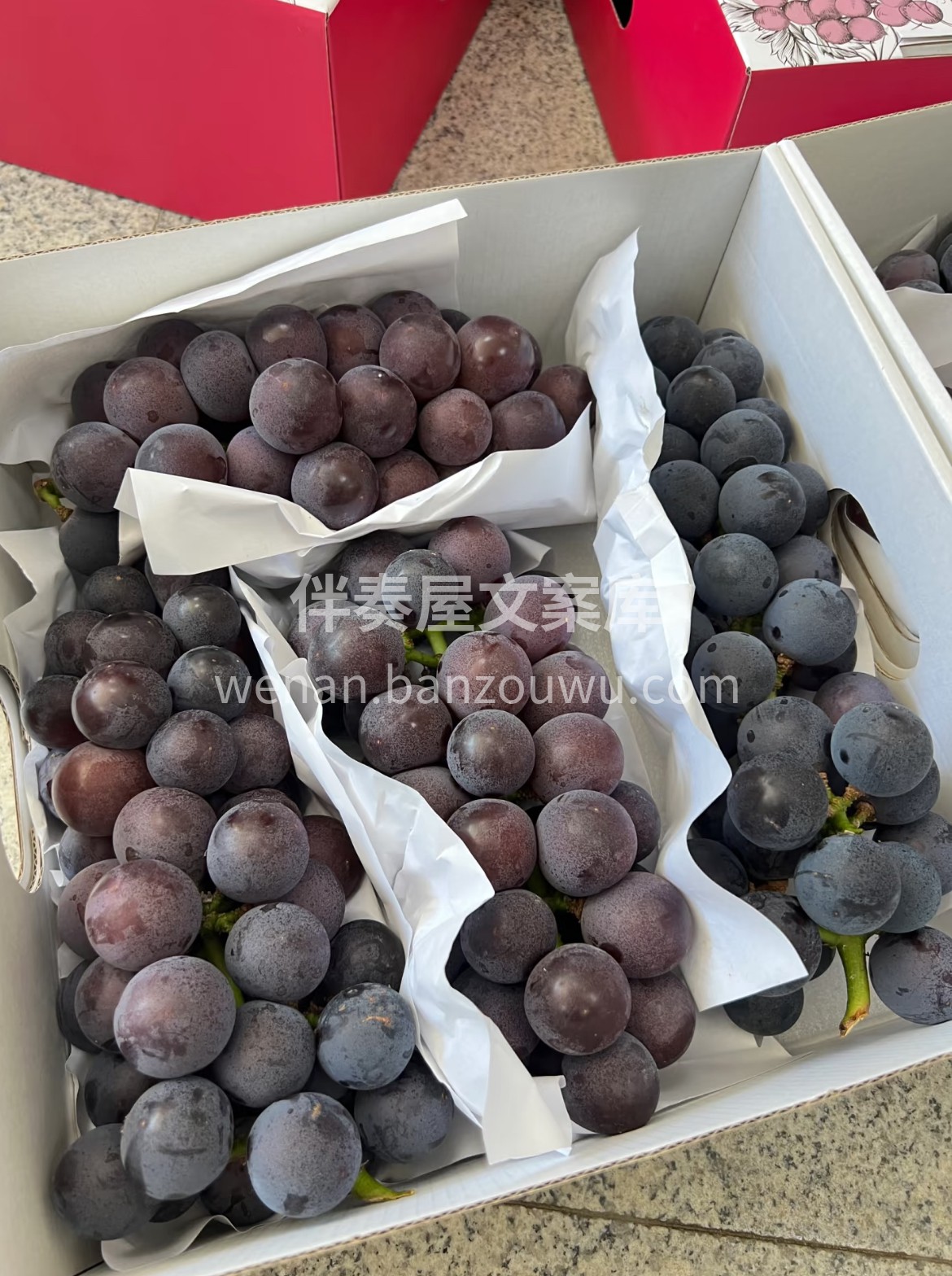 上新✨巨峰葡萄🍇 浓、醇、甜💥咬破果皮满 配图3