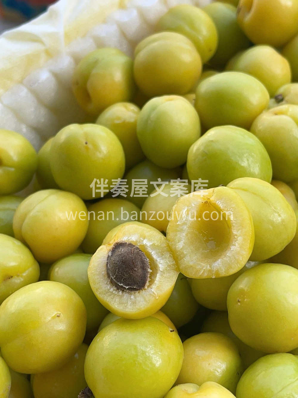 🍃新疆轮台小白杏✨甜如蜂蜜🍯保你吃上停不 配图2