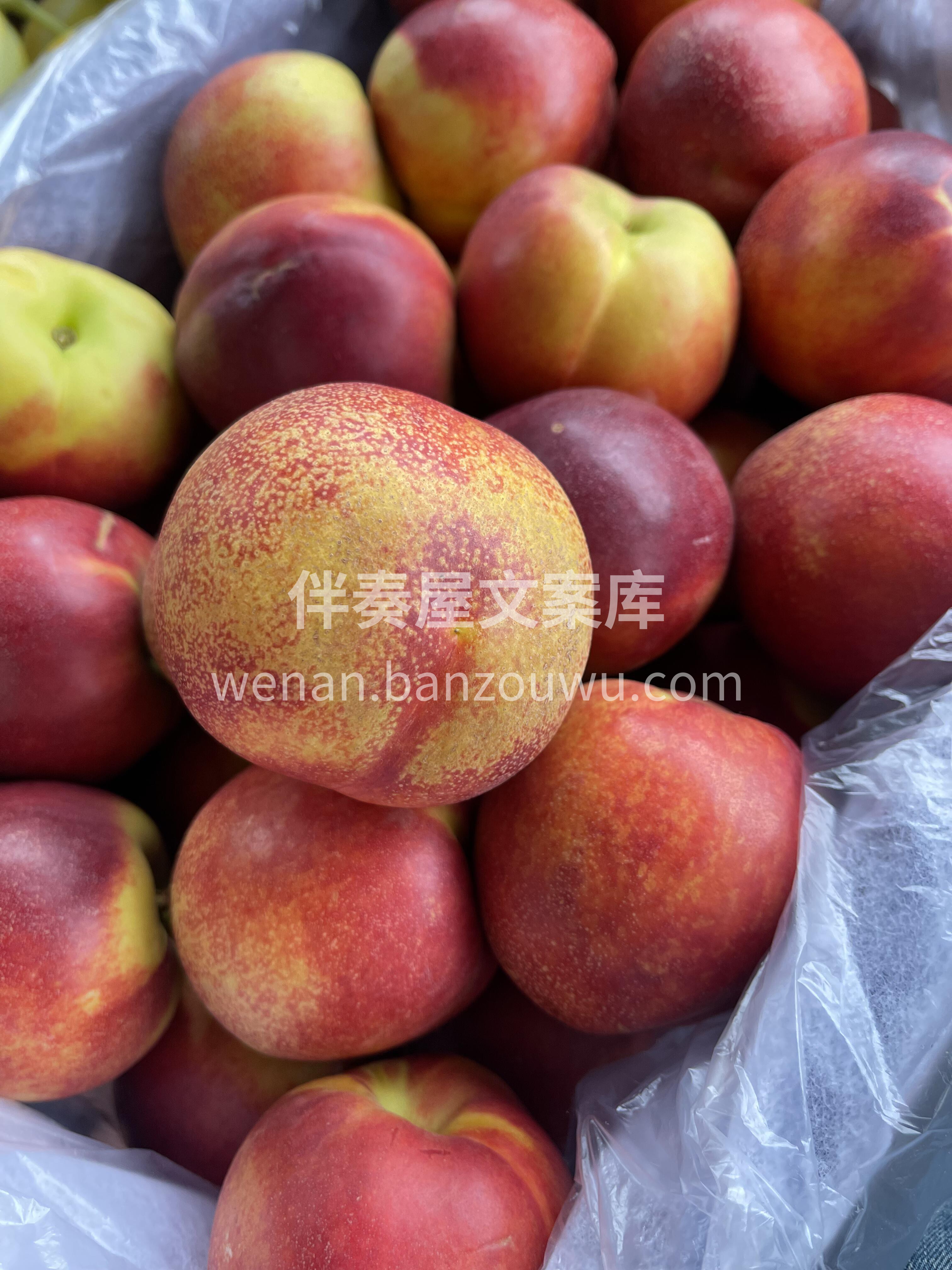 🔥爆款红油桃🍑 红艳、温润如油画一般~“ 配图3