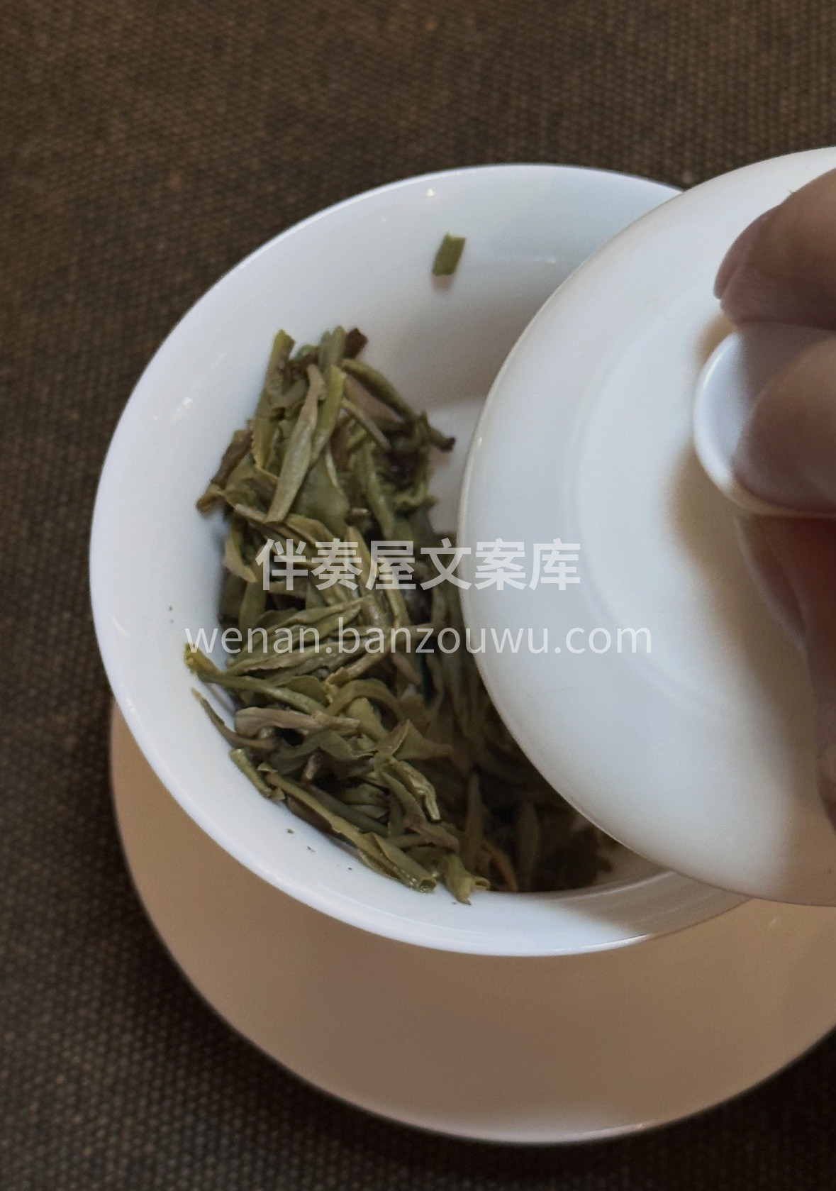 温州黄汤｜🎁 🍵茶汤金黄如琥珀，滋味醇和 配图2
