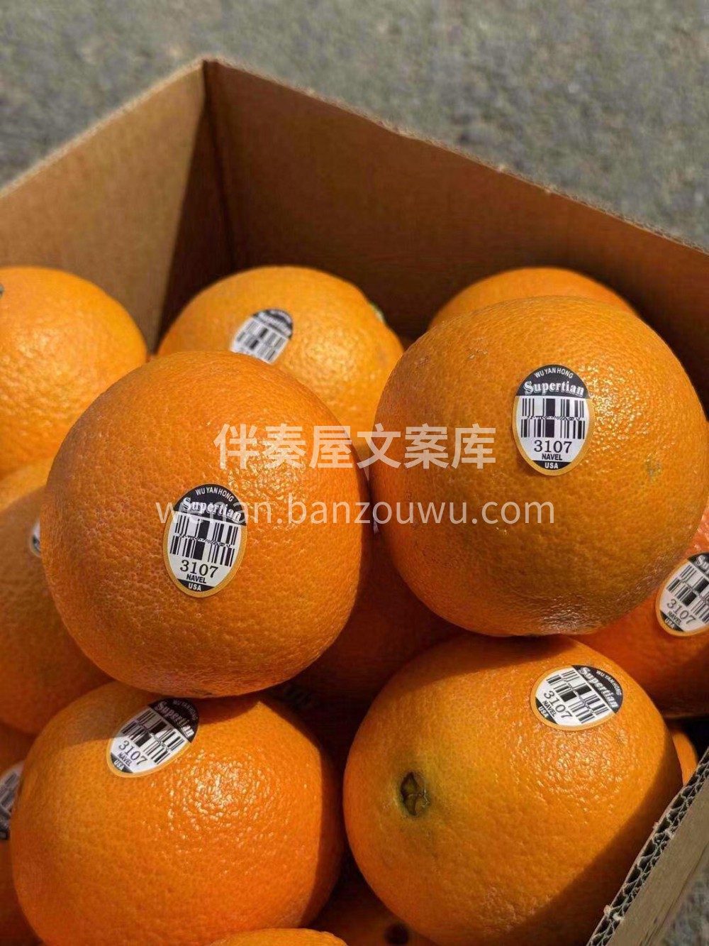 🌈【新‮士奇‬黑标橙】被阳光🌤亲‮吻过‬ 配图1