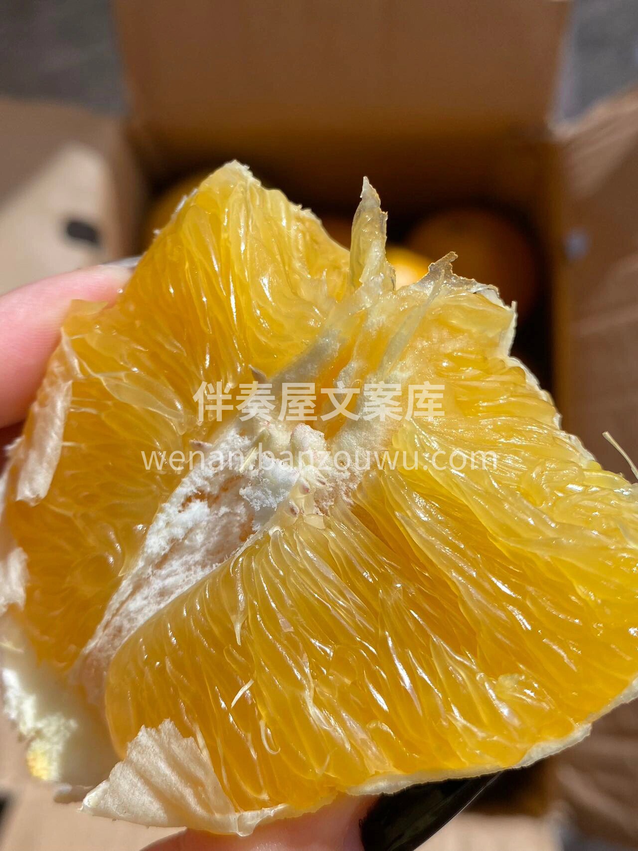 新到货‼️赣南脐橙🍊 轻咬一口，那股自然 配图3