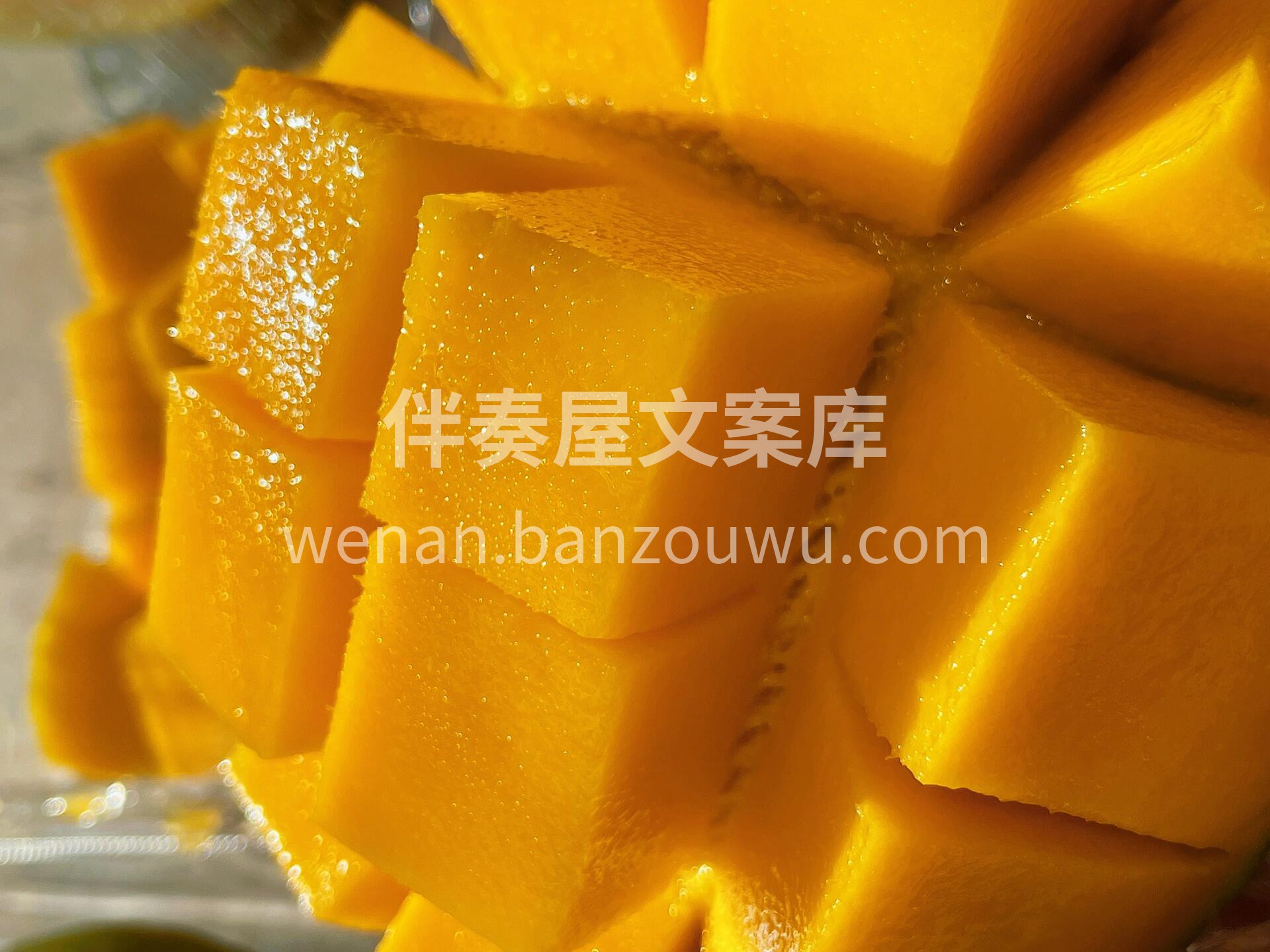 🌻『凯特芒🥭』 硕大的体型极具安全感💪  配图3