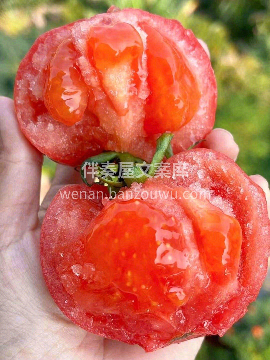😋细细品味，清香的汁水混着厚实沙粒感的果 配图3