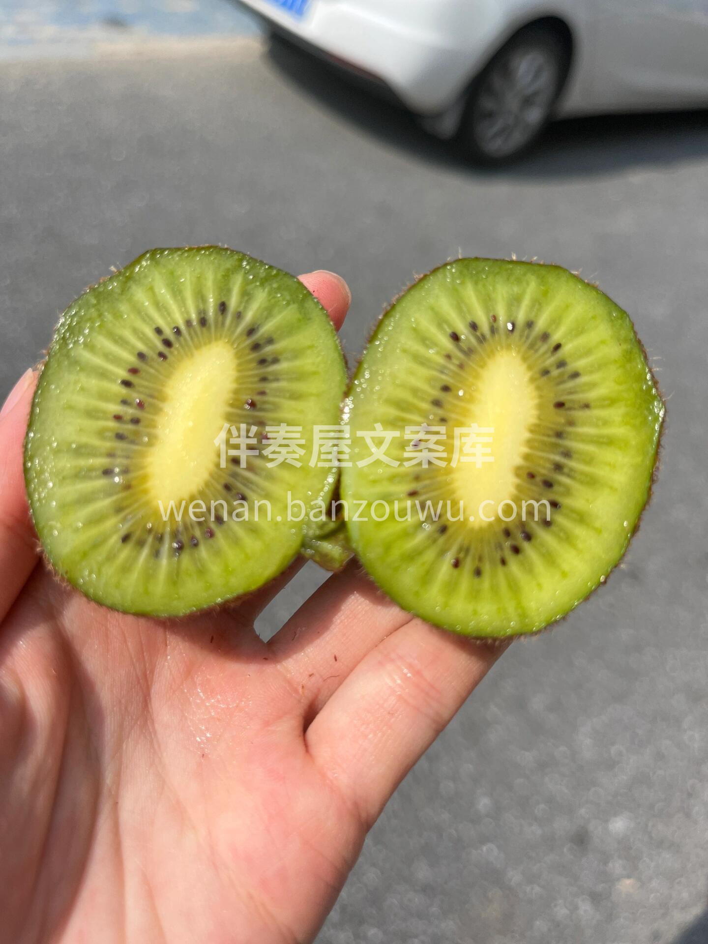 ☀️来自阳光海岸的新西兰🇳🇿佳沛🥝 “维 配图3