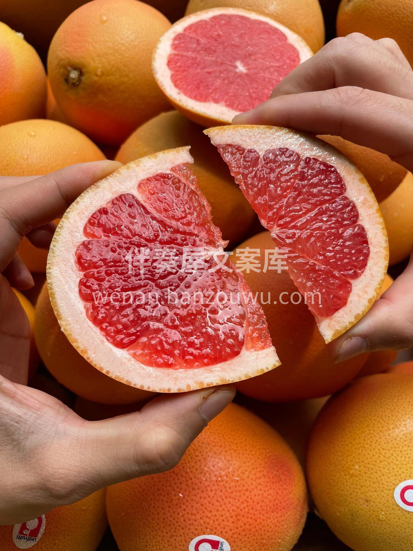 🔆青春不曾留得住，肥肉几时才离身 ✅西柚 配图1