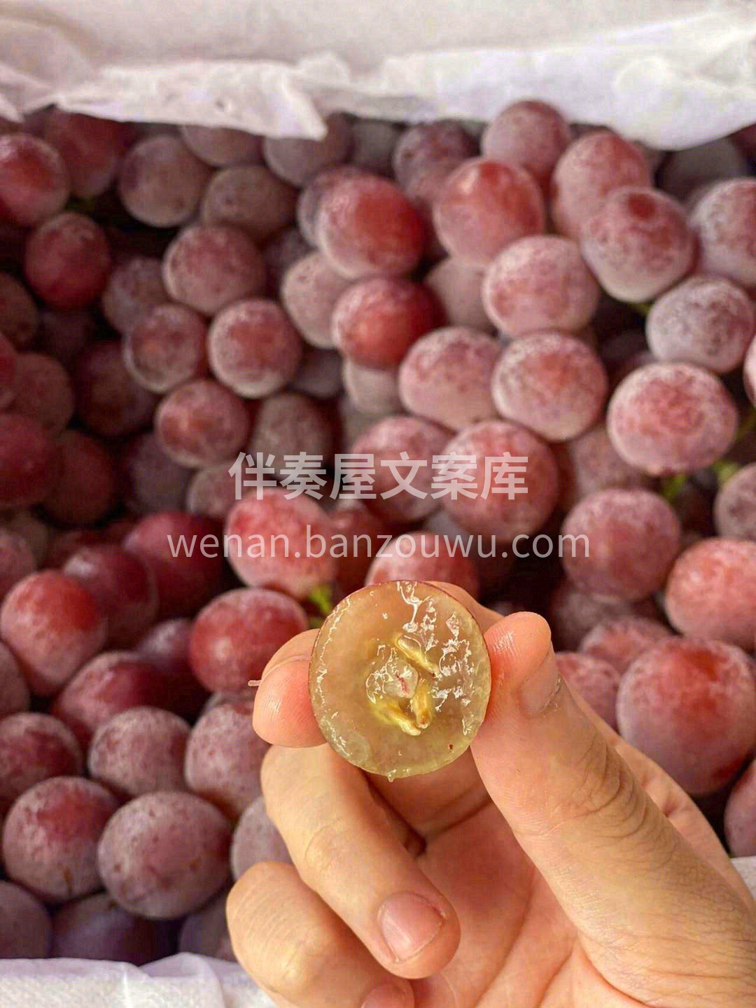 果肉脆甜多汁💦，吃上几粒🍇 剔透晶莹的果 配图1