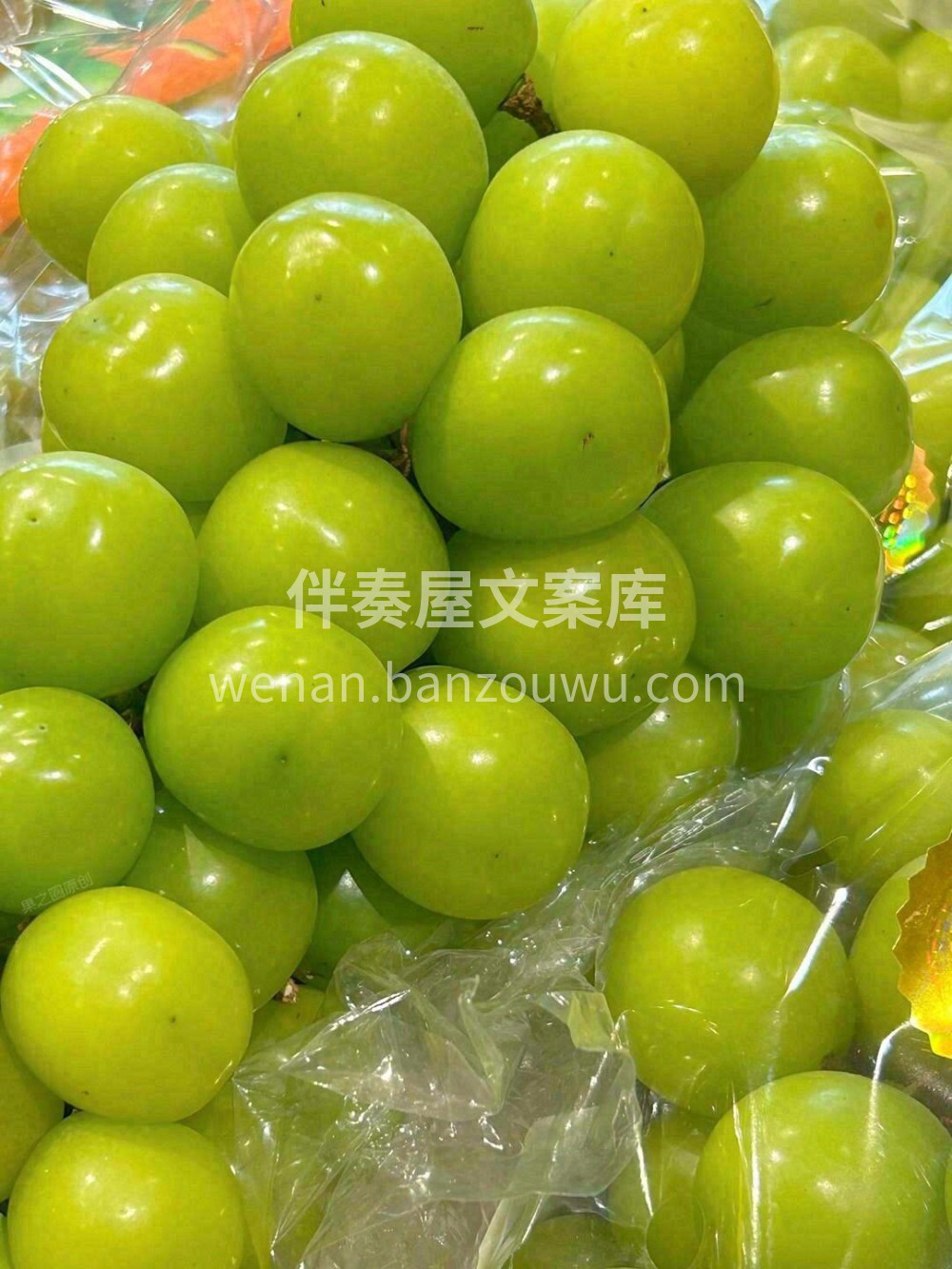 特级阳光玫瑰 🍇 ，每一颗都是爆甜脆的翡 配图1