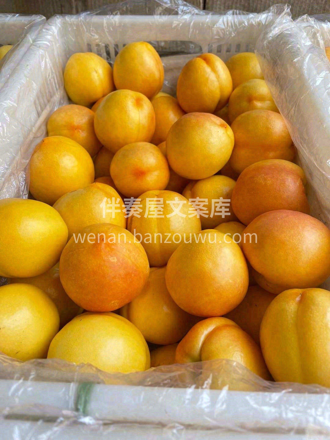 入口的一瞬间，对桃子有了新的定义👍！ 刚 配图3