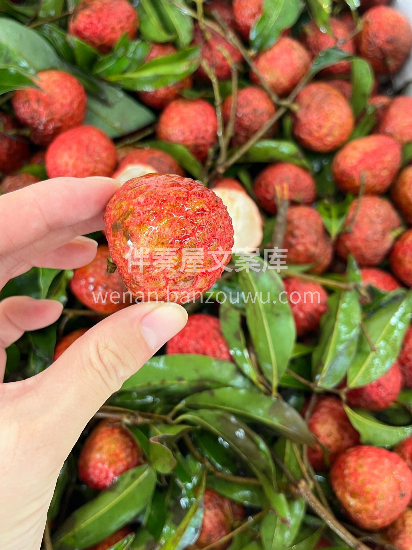 糯米滋•荔枝❤️ 夏日炎炎，有“荔”真甜 配图1