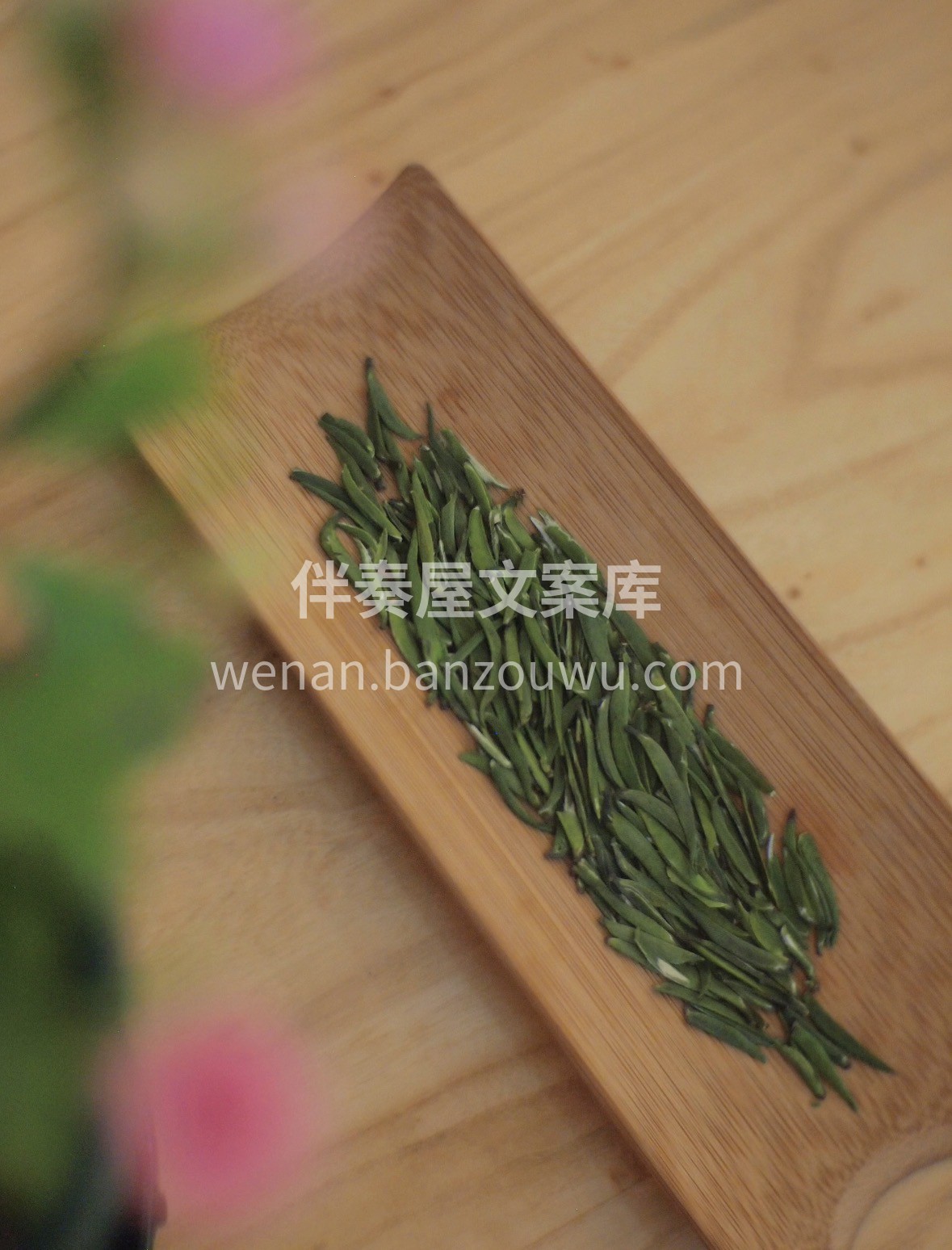 【春日上新·中茶绿雀舌】 明前采摘，芽头 配图1