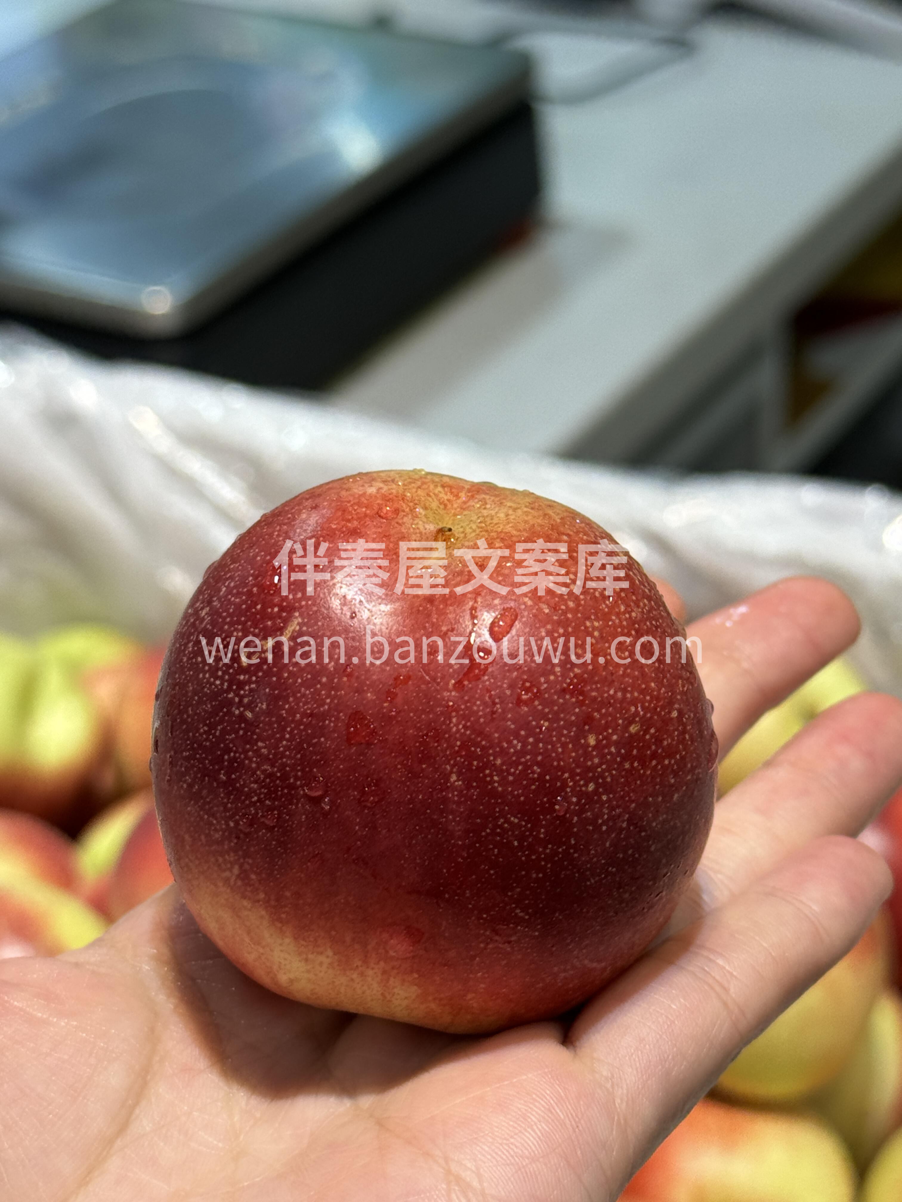 🍃珍珠枣油桃🍑全员宠爱的一款小桃子💚离核 配图3