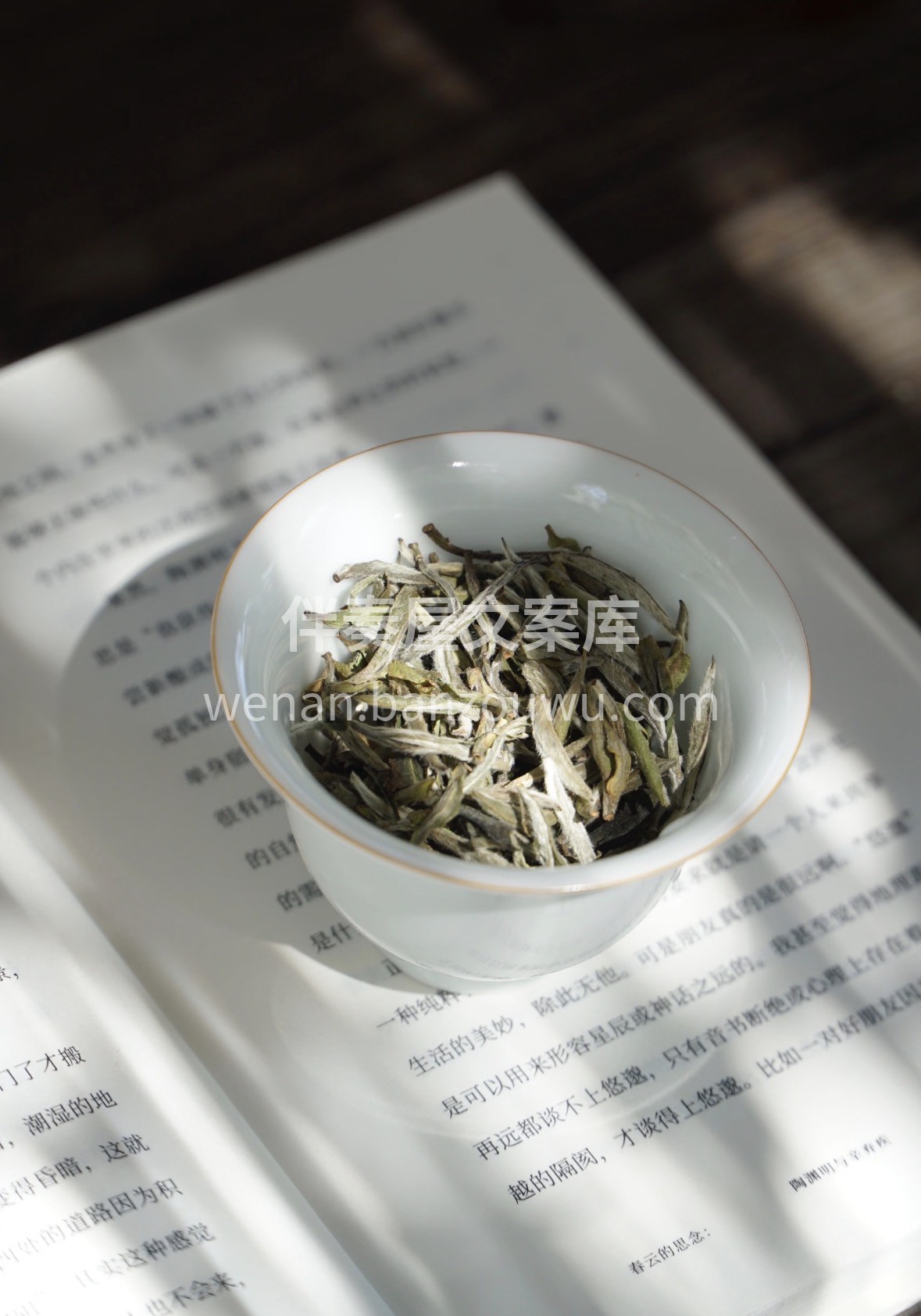 🎁年货好礼选银针，毫香蜜韵醉人心。🍵雪芽 配图2