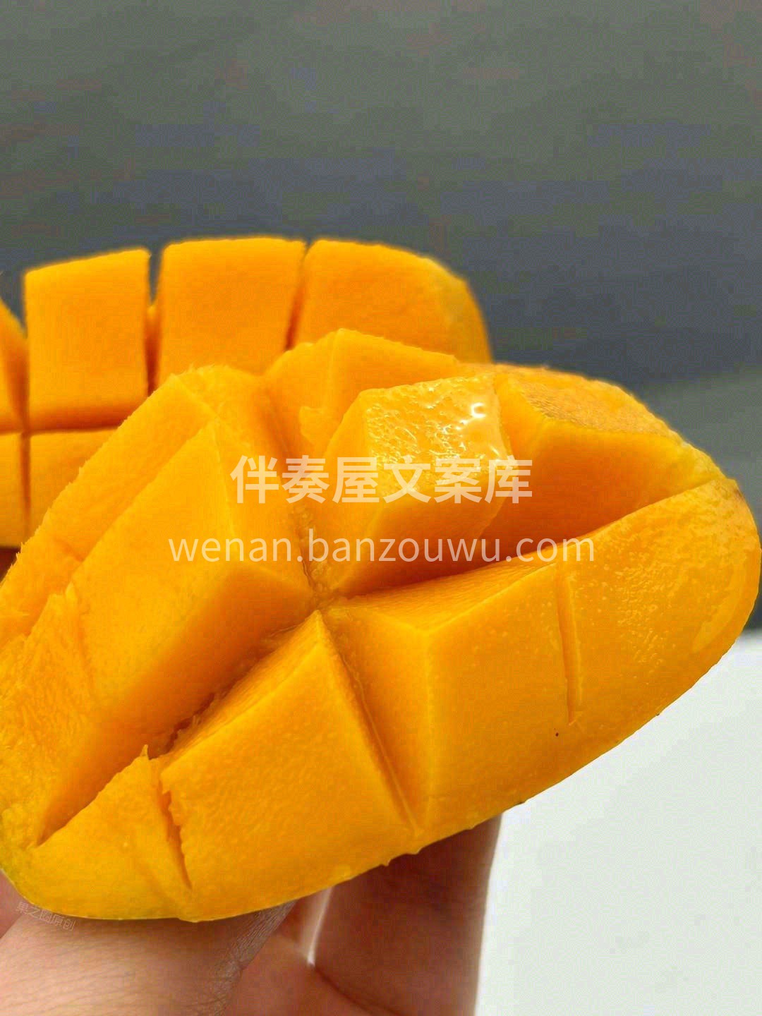 小台芒是真正印证“浓缩是精华”这句话🐣  配图2