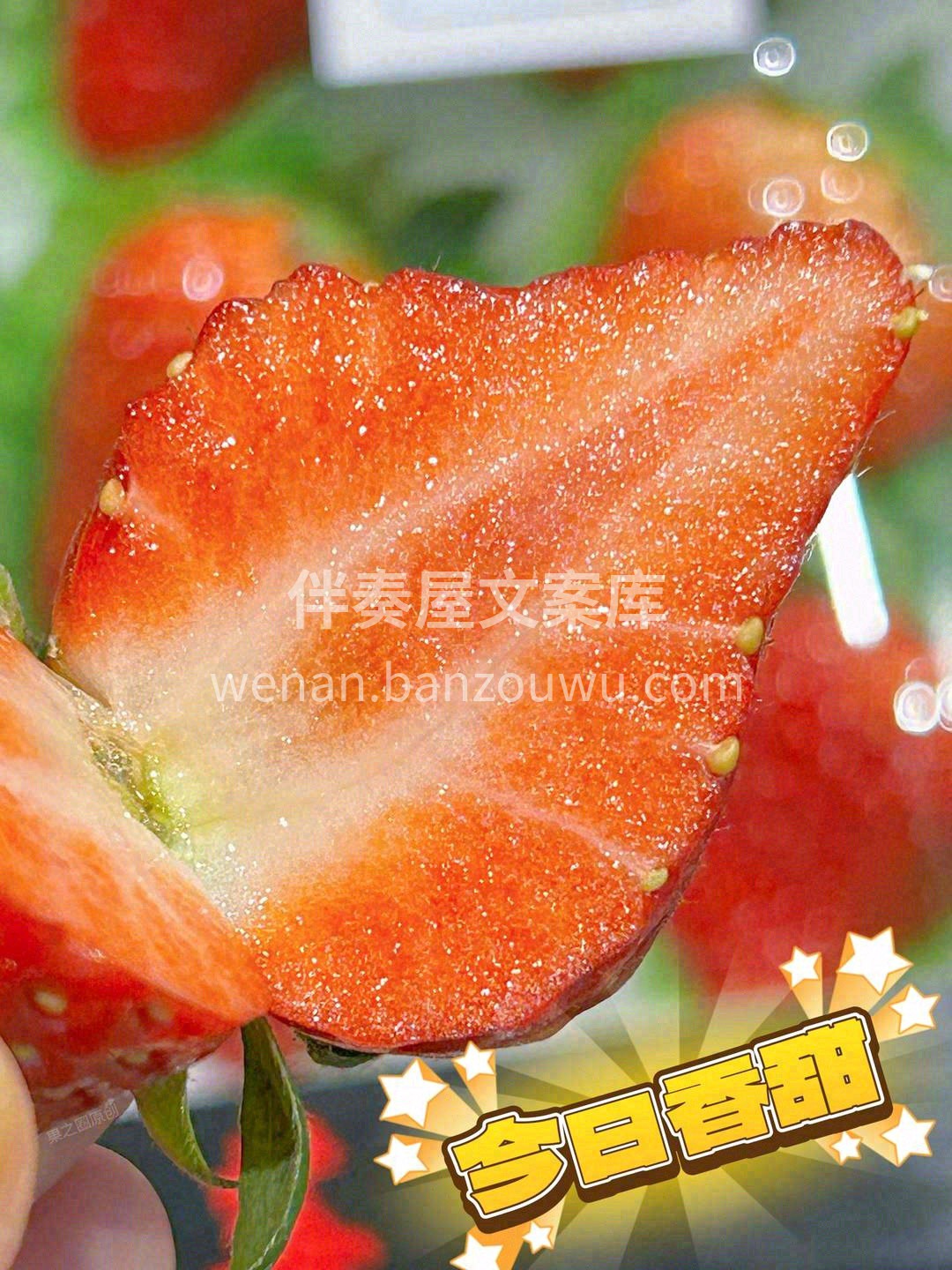 丹东红颜🍓 草莓是冬的气息❄，除了霸道总 配图3