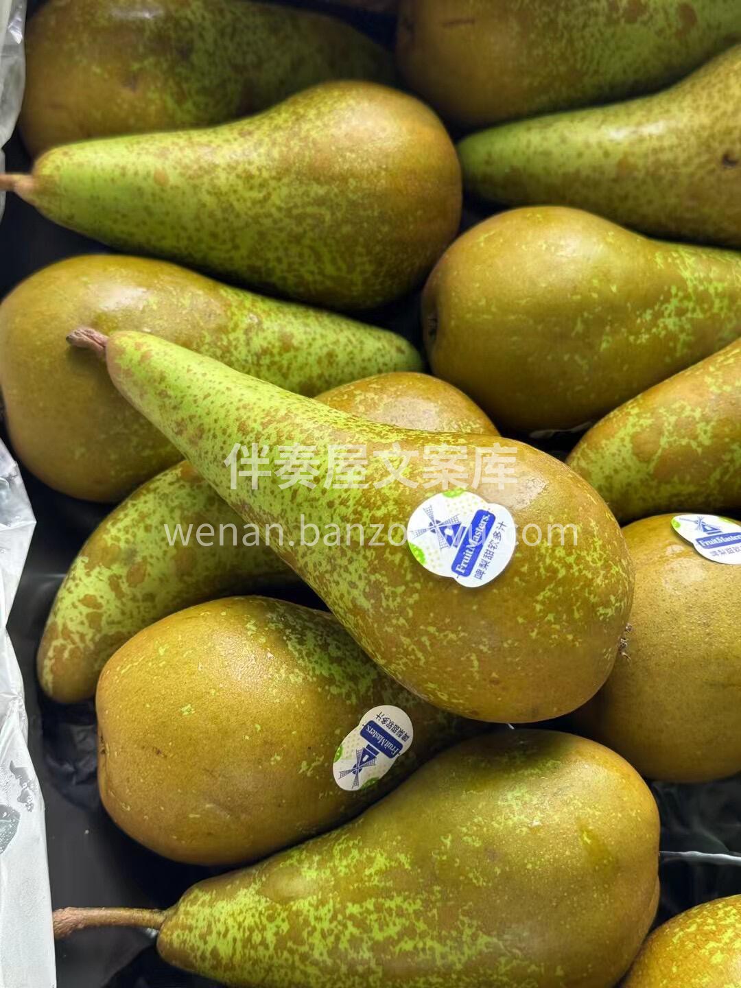 是它是它就是它，日思夜想的荷兰啤梨🍐 颗 配图2