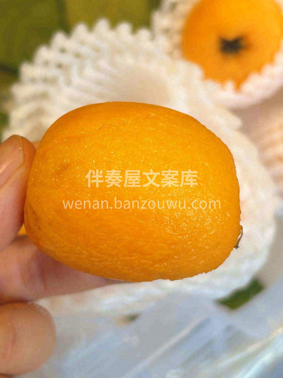 心有度，食无疆，唯有美食不可辜负💗！ 山 配图1