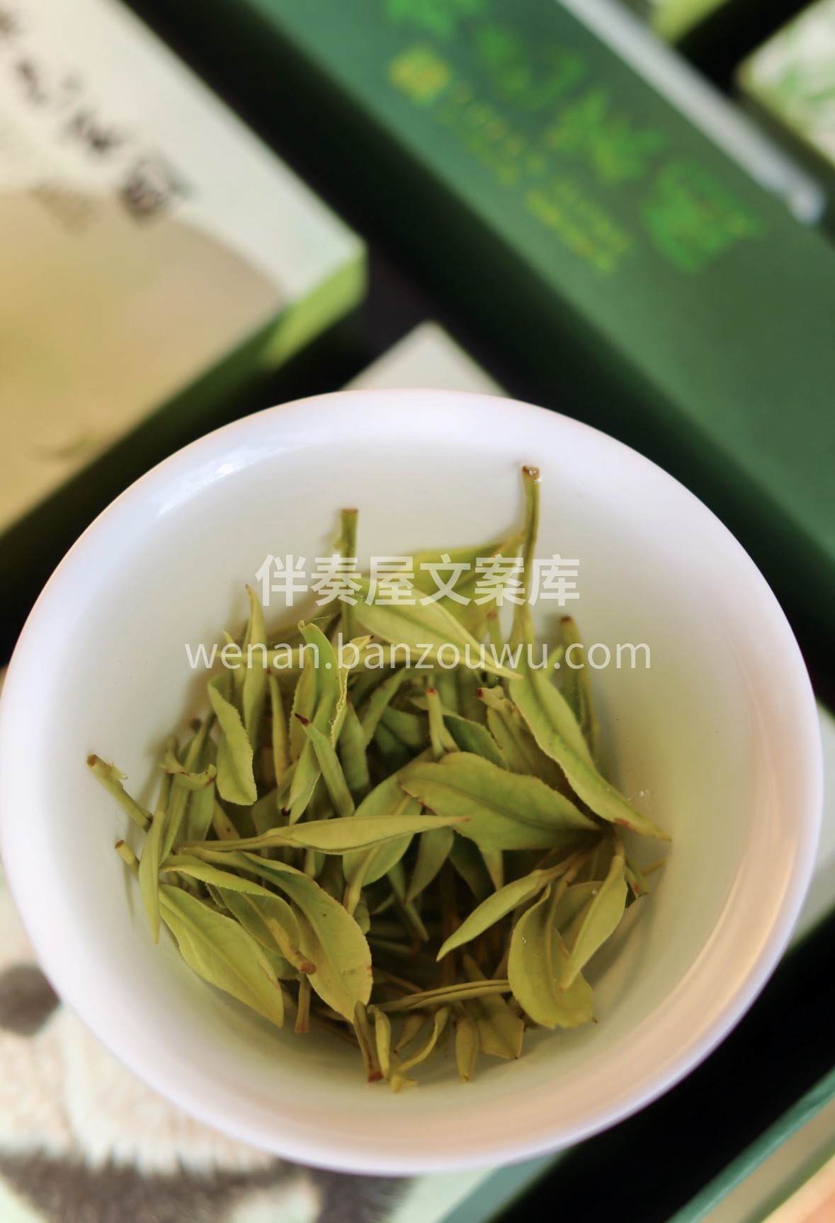 春茶正当鲜，安吉白茶头采现货。芽壮毫显、 配图2