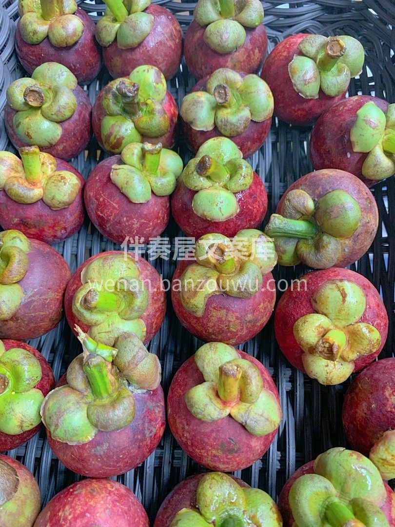 拥有“水果皇后👑 ”美誉之称的泰国山竹来 配图3