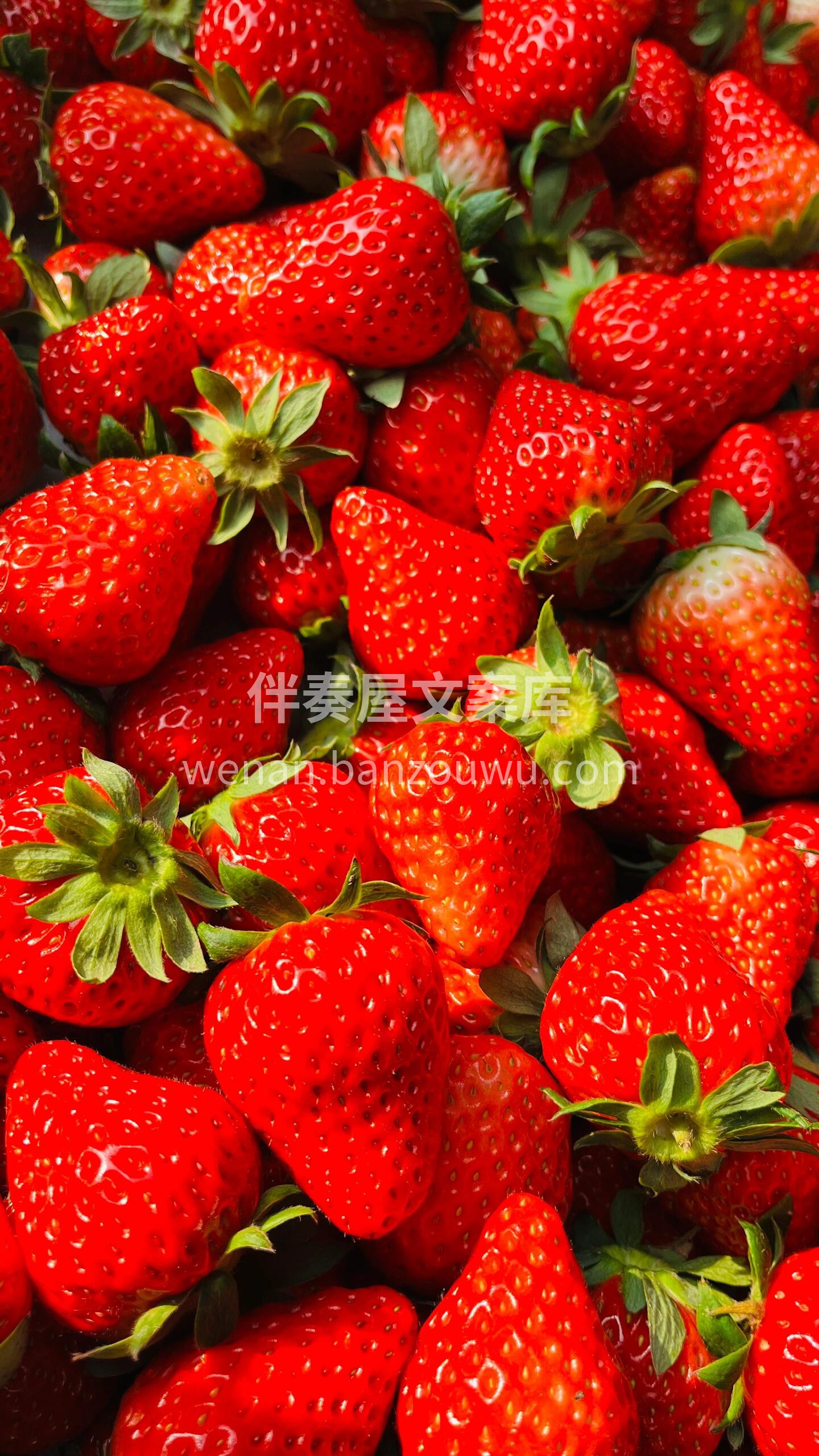 冬天正是吃草莓🍓的季节 新到的红颜草莓分 配图2
