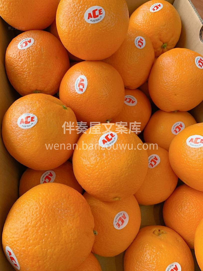 ACE脐橙??甜度高，表面鲜艳光泽 果大 配图2