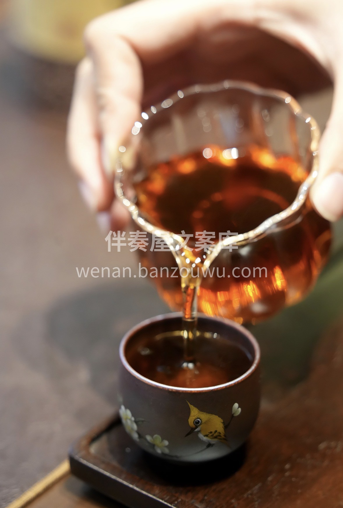 春困湿气重，一杯六堡茶刚刚好。温和解腻、 配图2