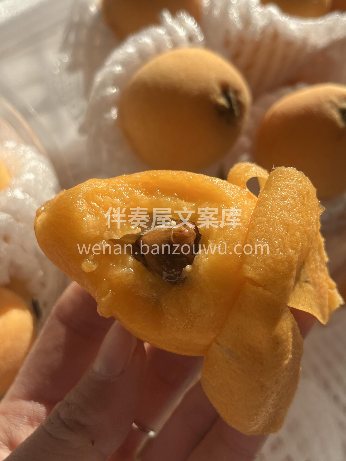 🌟 枇杷来啦🧡 大自然的诚意之作！小小一 配图2
