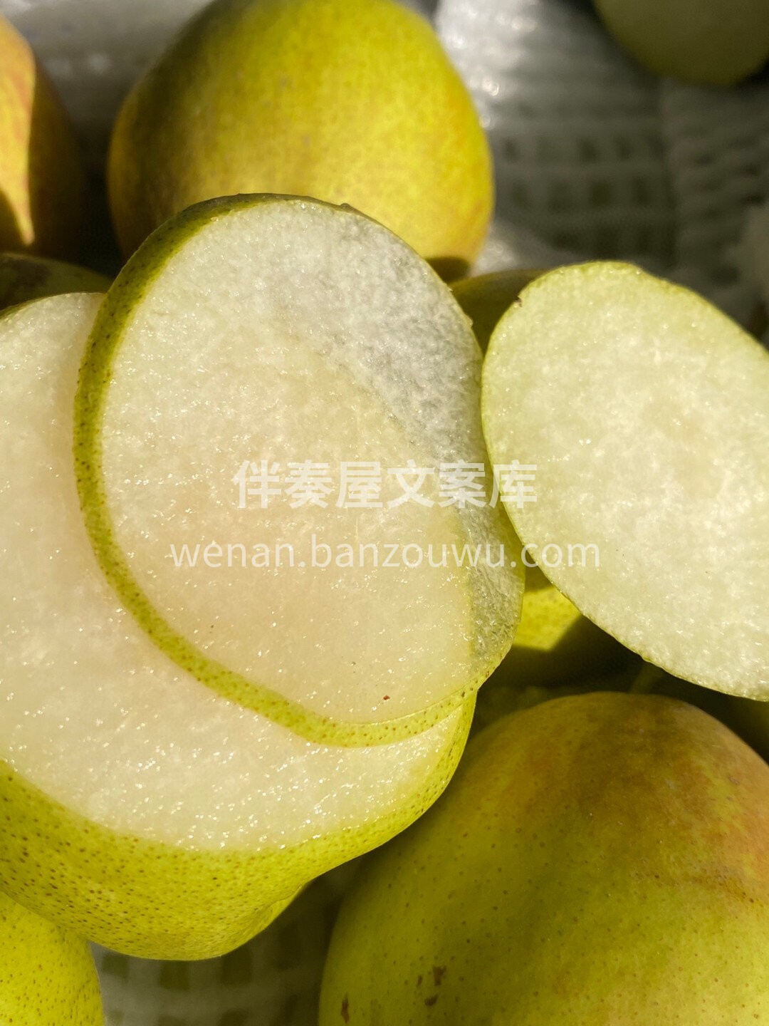 · ℋᵅᵖᵖᵞ♡ᵕ̈ 🍐 🍮🍹 家中孩子 配图3